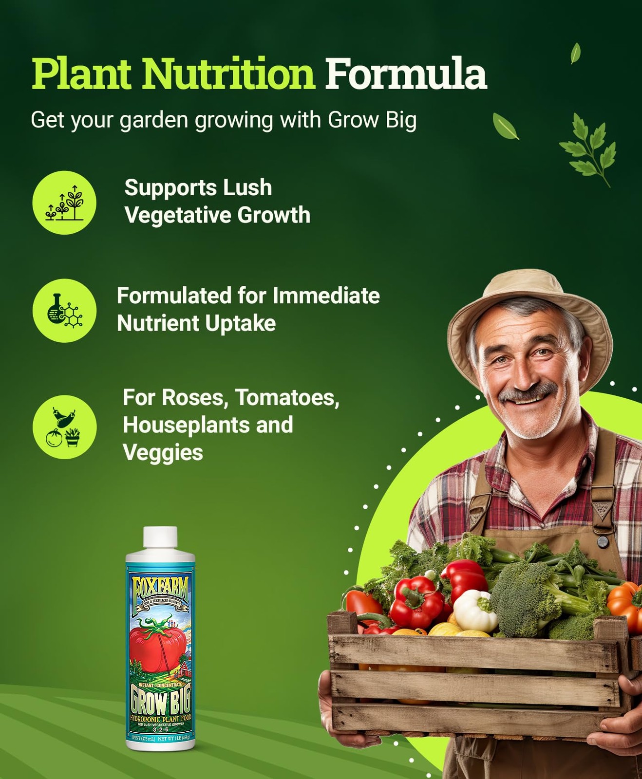 Grow Big Hydro Houseplant Fertilizer 1 Pint Nutrient Rich For Vegetative Growth