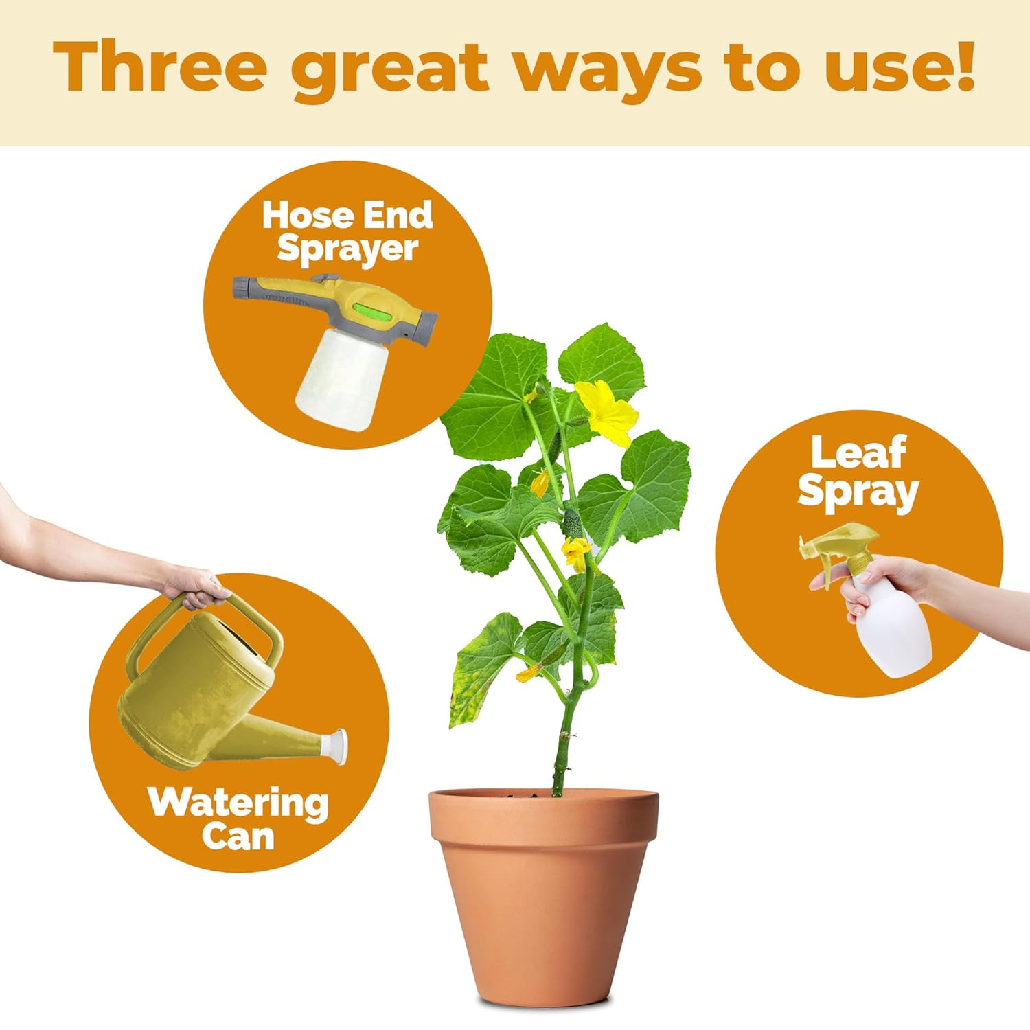 5-10-5 Fertilizer for Plants, Great for Root Vegetables, Fruiting Vegetables, an