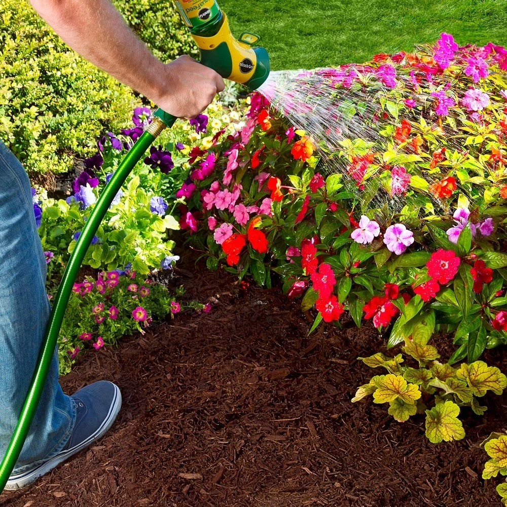 All Purpose Plant Food Advance Starter Kit with Feeder