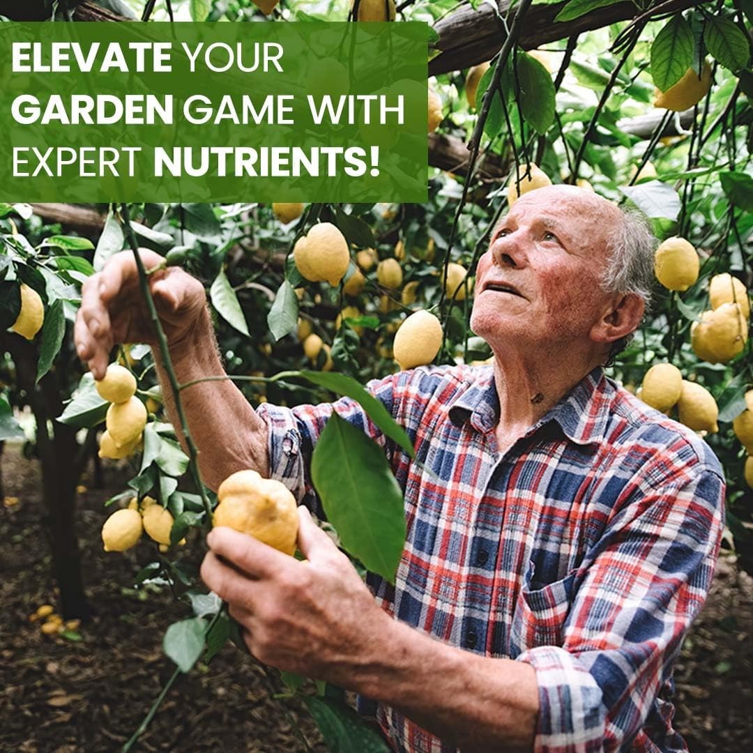 Citrus Tree Fertilizer – Orange, Lemon, Lime, Mango, Avocado – Citrus Fertili…