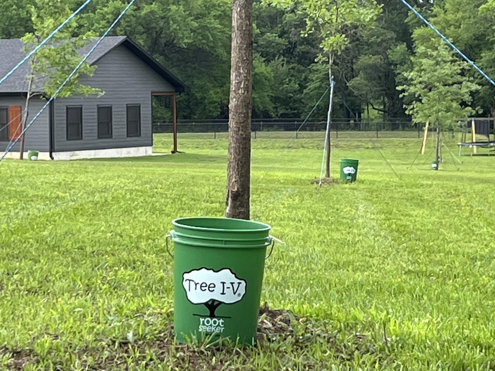 Tree I-V 6-Pack Original Base Root Feeder Watering System | Durable Self-Supp…