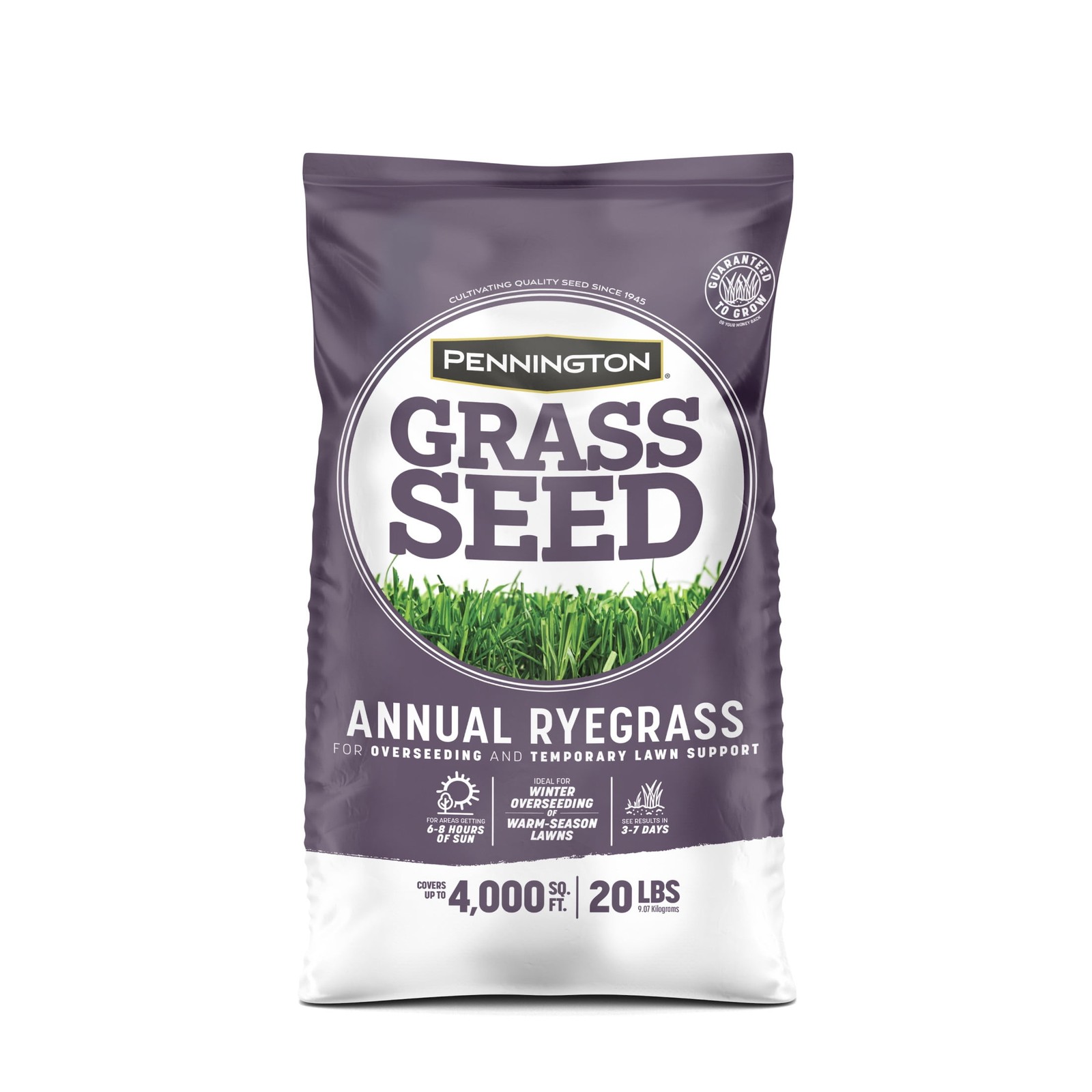 Pennington Annual Ryegrass Grass Seed, for Sun to Partial Shade, 20 lb.