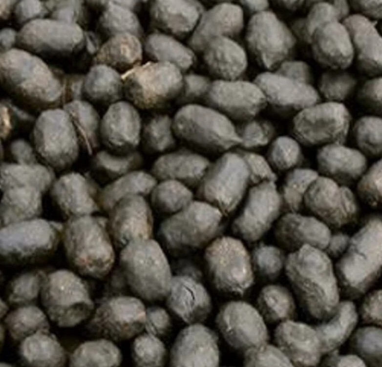 ✨️Organic Premium Alpaca Manure Poop! Great For Your Garden🌱 5lbs