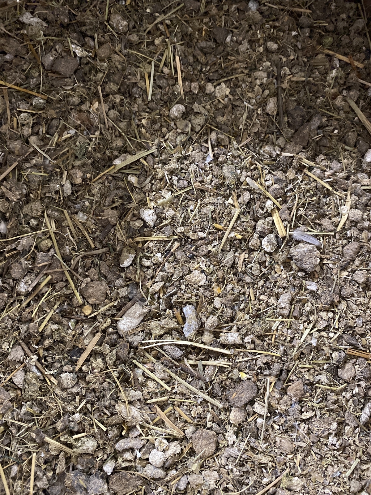 8 Lbs + Dry Cow Manure – Organic – Made In Indiana – Sifted