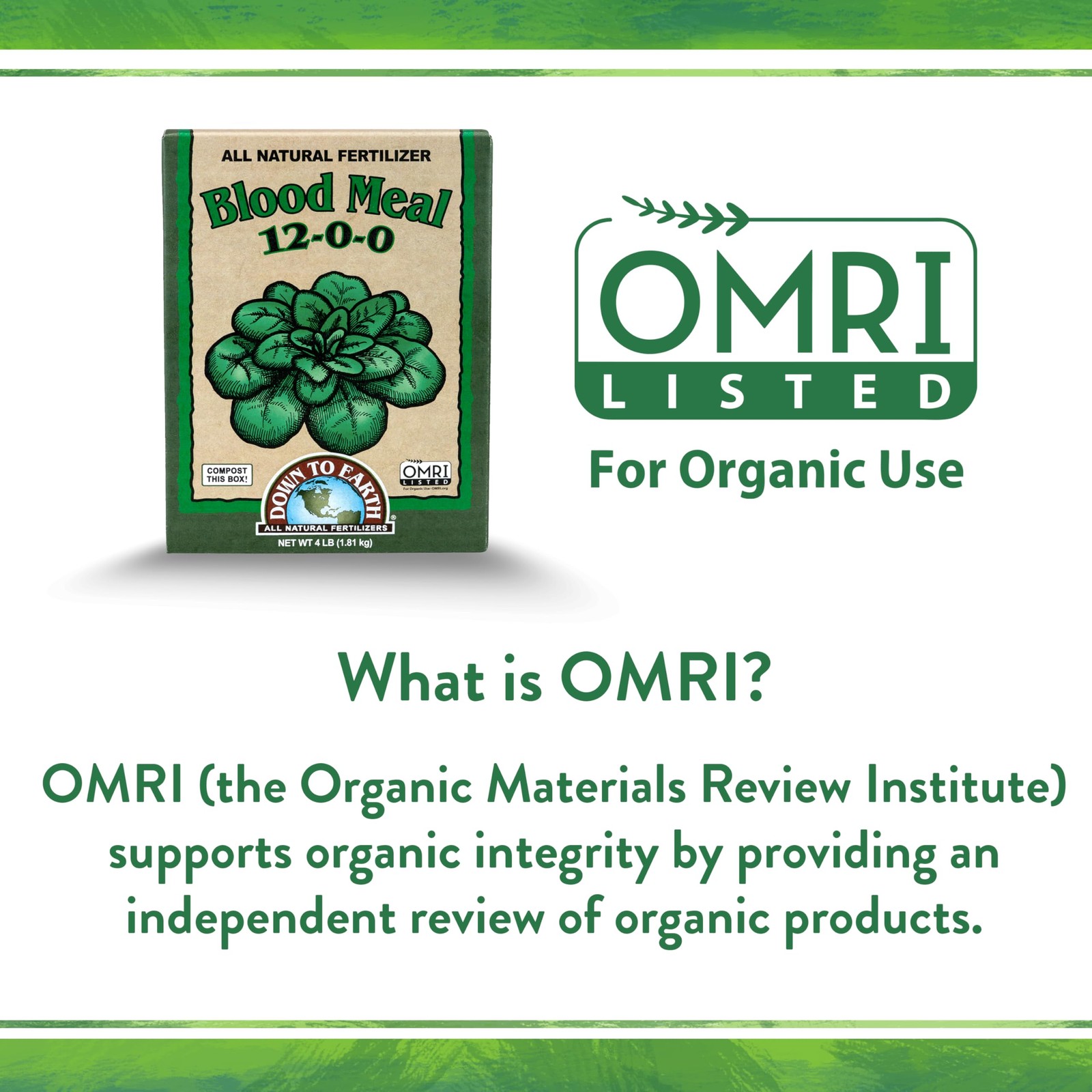 Down To Earth All Natural Fertilizers Organic Blood Meal – High 1/2 lb