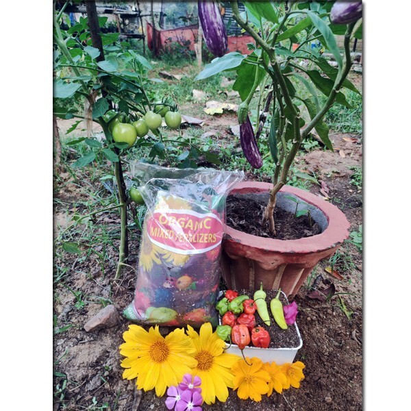 Organic Mixed Fertilizers for Flowering plants, Fruits, Vegetables Free Shipping