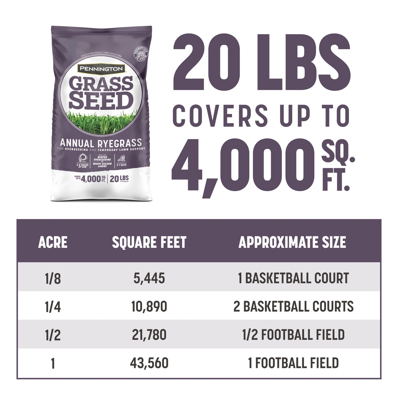 Pennington Annual Ryegrass Grass Seed, for Sun to Partial Shade, 20 lb.
