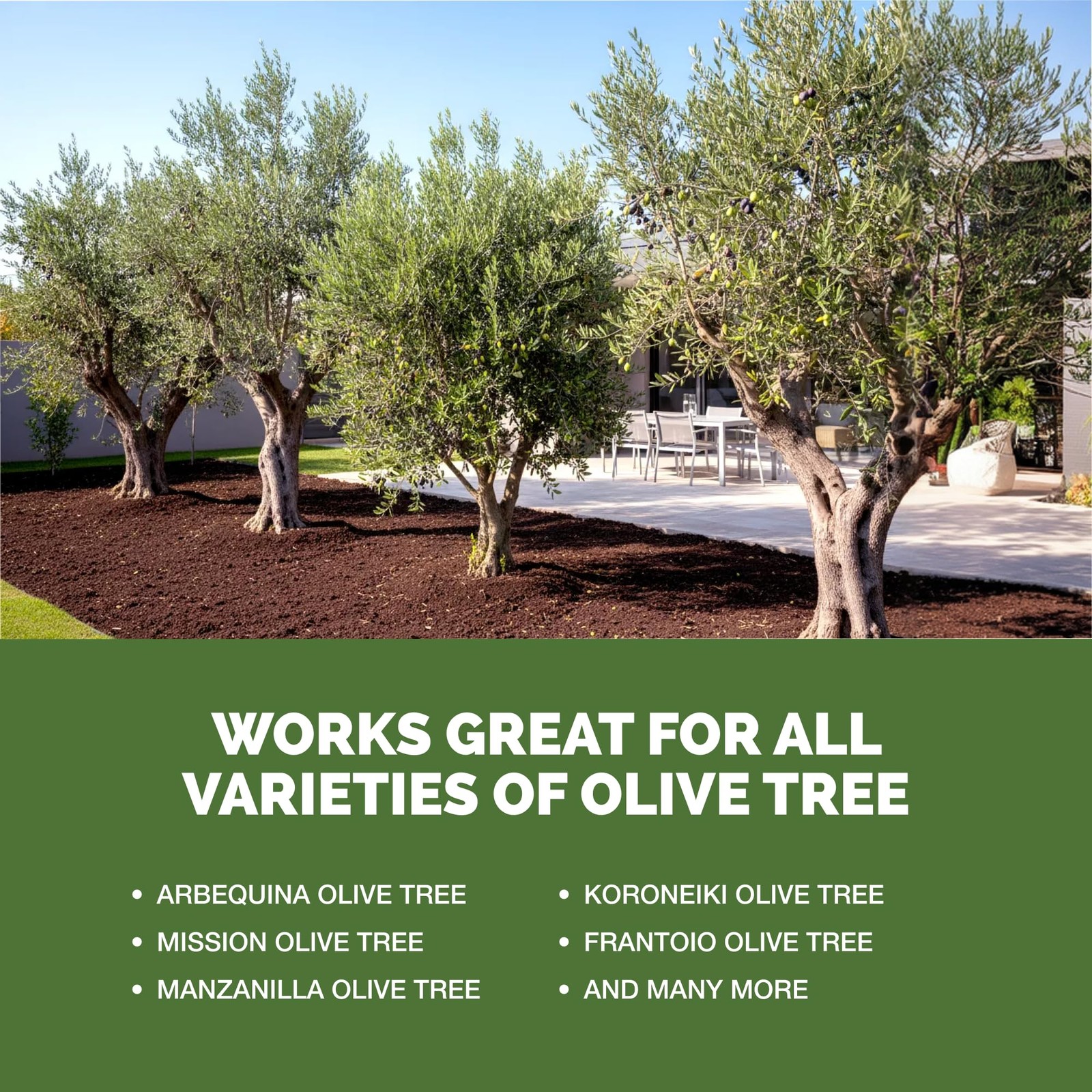Olive Tree Fertilizer – Liquid Plant Food for Bigger Harvests 8 oz (1/2 Pint)