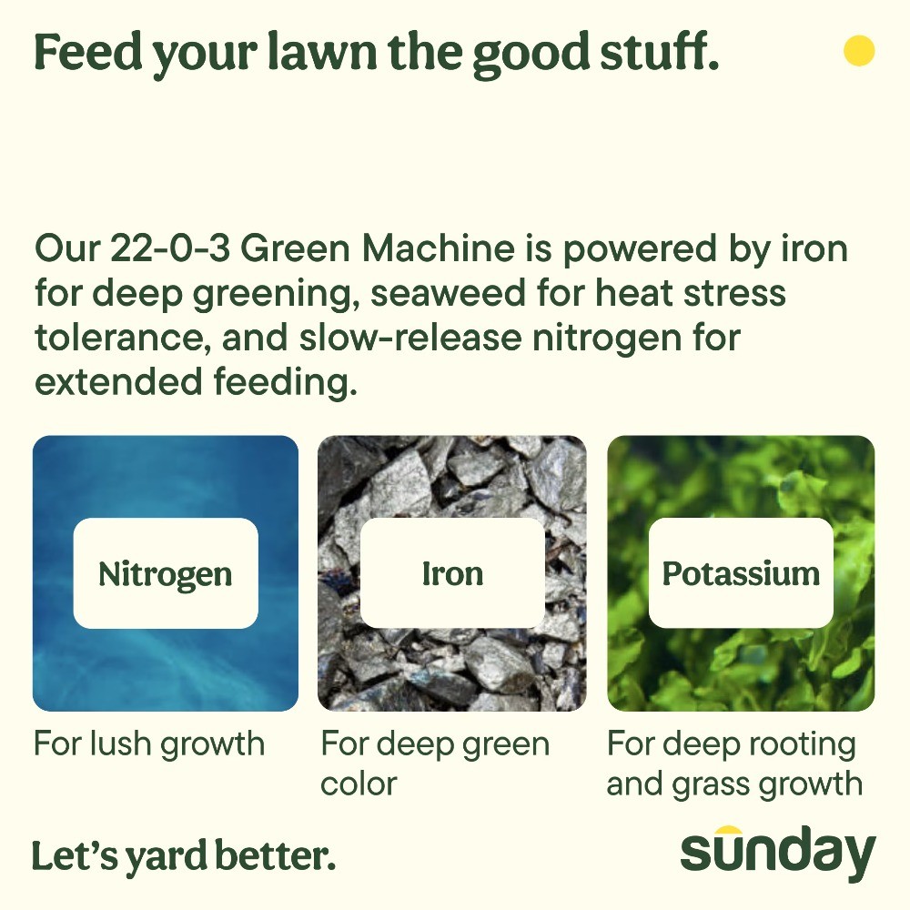 Green Machine Ready-to-Spray Liquid Lawn Fertilizer (22-0-3),42.3 oz, 5000-Sq ft