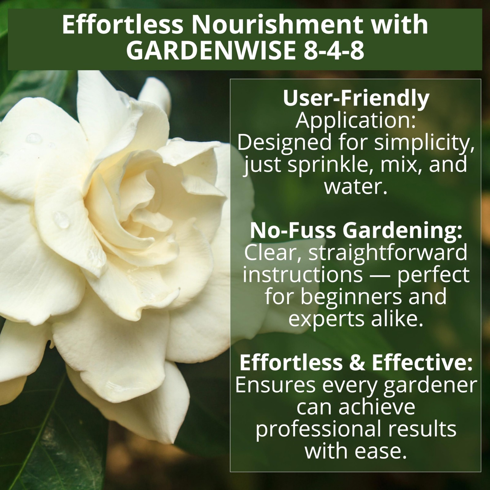 Acidic Fertilizer 8-4-8 for Azaleas, Hydrangeas, Blueberries, Gardenias – Iron-R