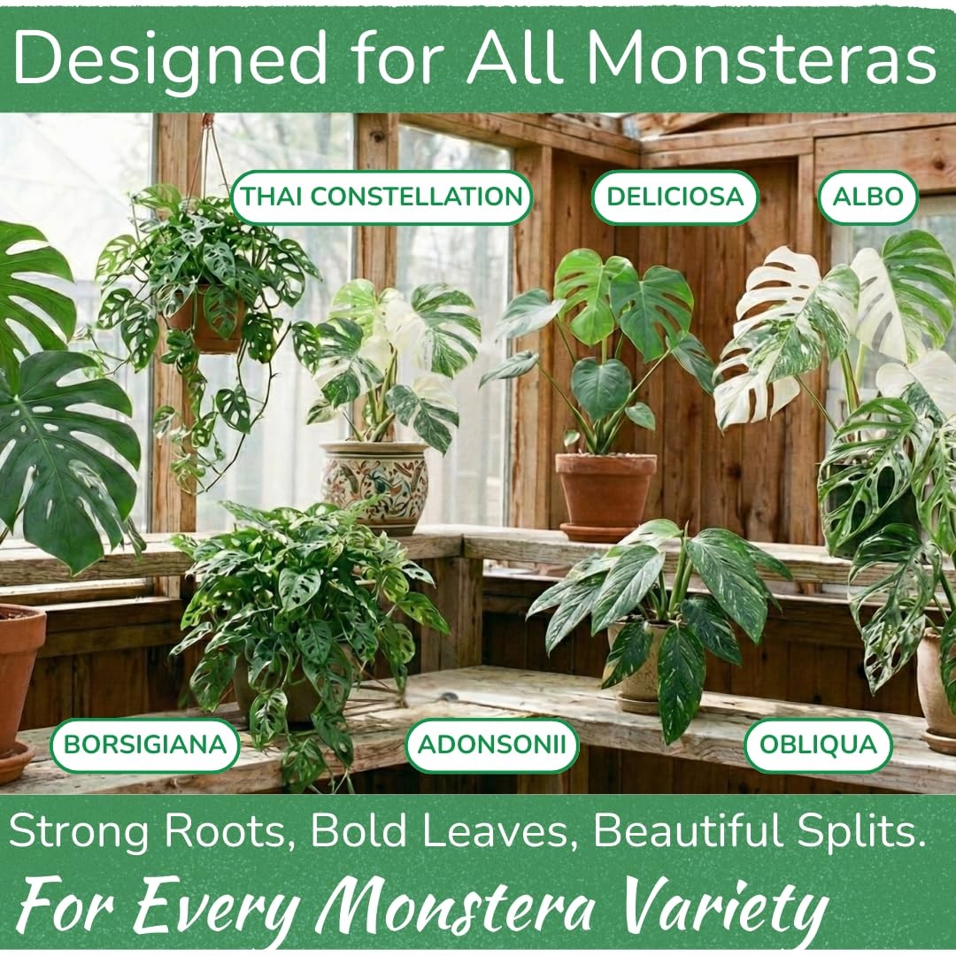 Monstera Plant Food 5-2-3 NPK Liquid Fertilizer for Tropical Plants 8 oz