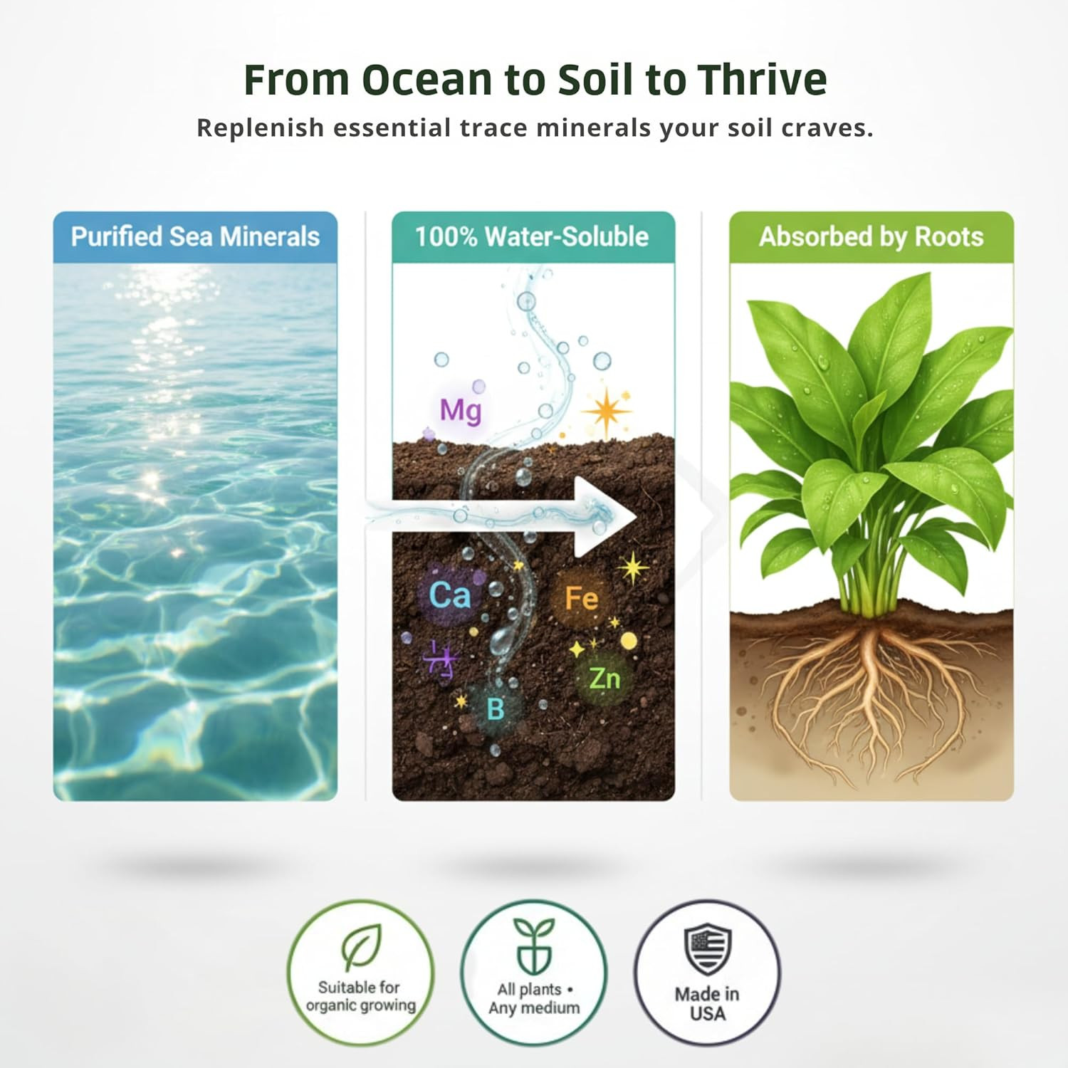 Ocean Magic Sea Mineral Fertilizer by (1 Gallon) – Soil Mineral Health Improveme