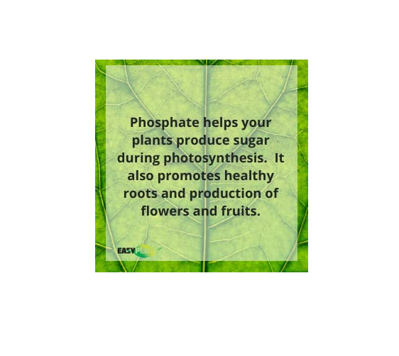 TRIPLE SUPER PHOSPHATE FERTILIZER 0-46-0 | Phosphorus Fertilizer for Gardens, La