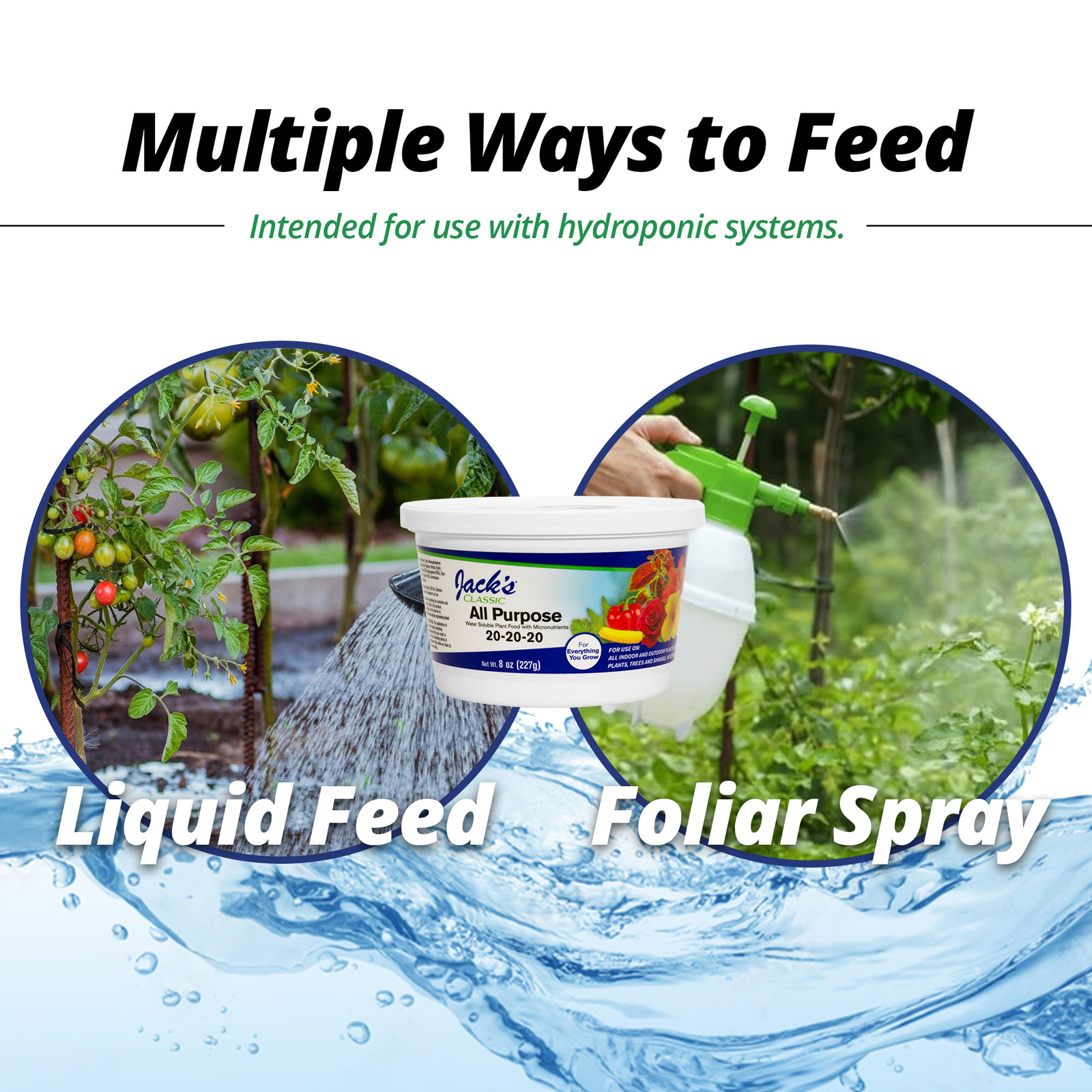 Jack’s Classic 20-20-20 All Purpose Water-Soluble Fertilizer, 8oz