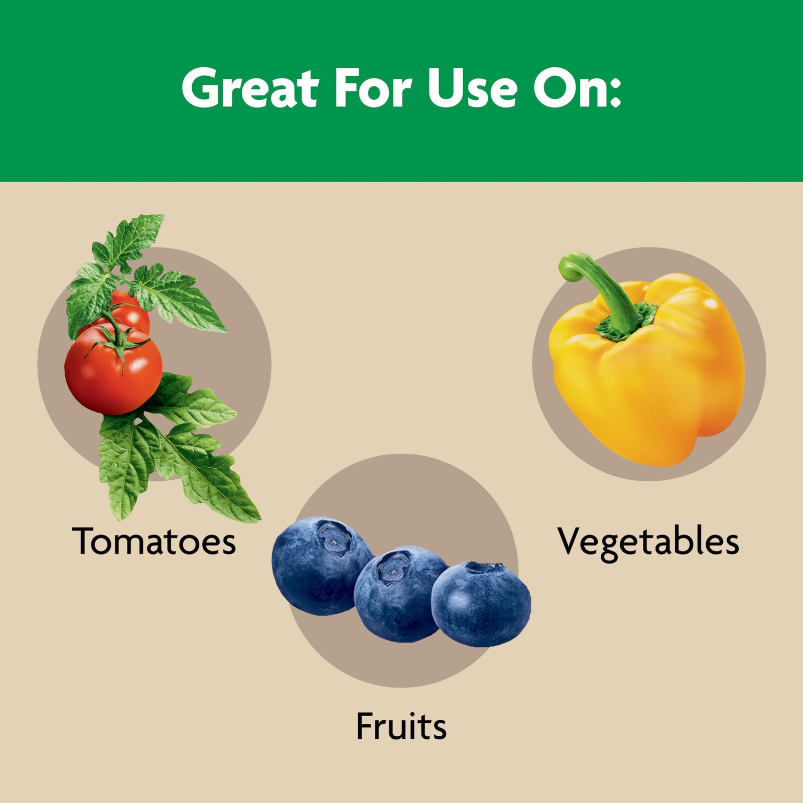 Tomato Fruit Vegetable Plant Food Fertilizer 1 lb Feeds Up To 3 Months