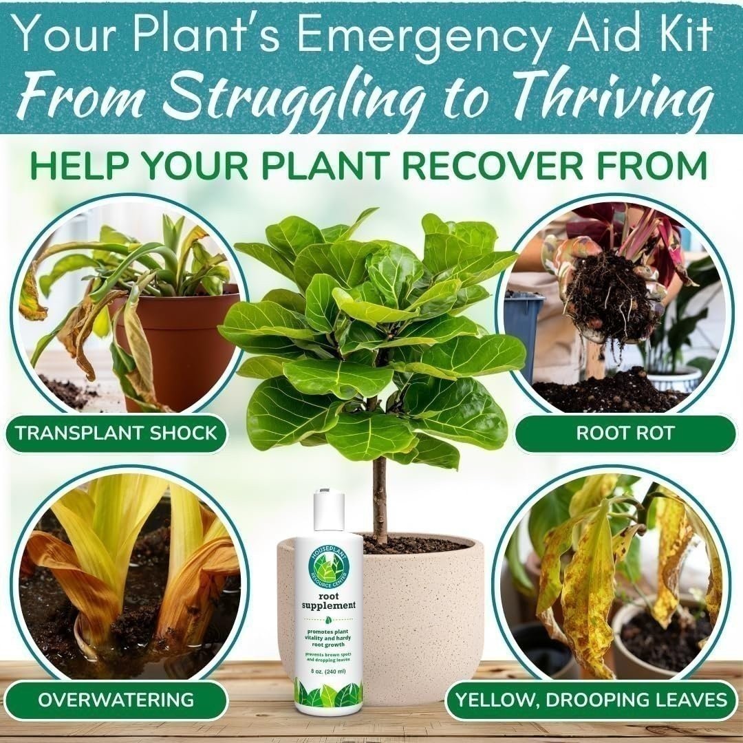 Root Supplement – Liquid Root Stimulator for Healthy Houseplant Growth (8oz)