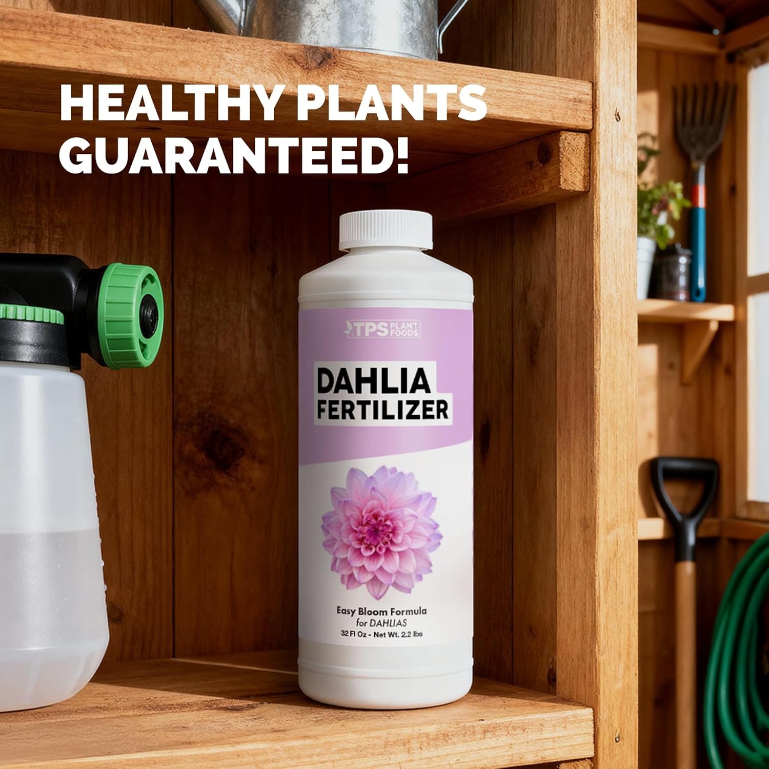 Dahlia Fertilizer – Liquid Plant Food Bigger Blooms Vibrant Color & Stronger