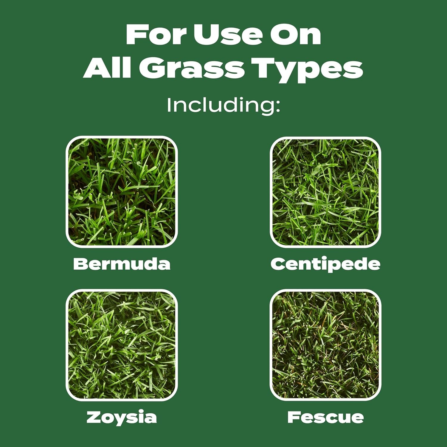Turf Builder Lawn Food – 2-Pack Granules, 10,000 sq. ft. for Lush Grass