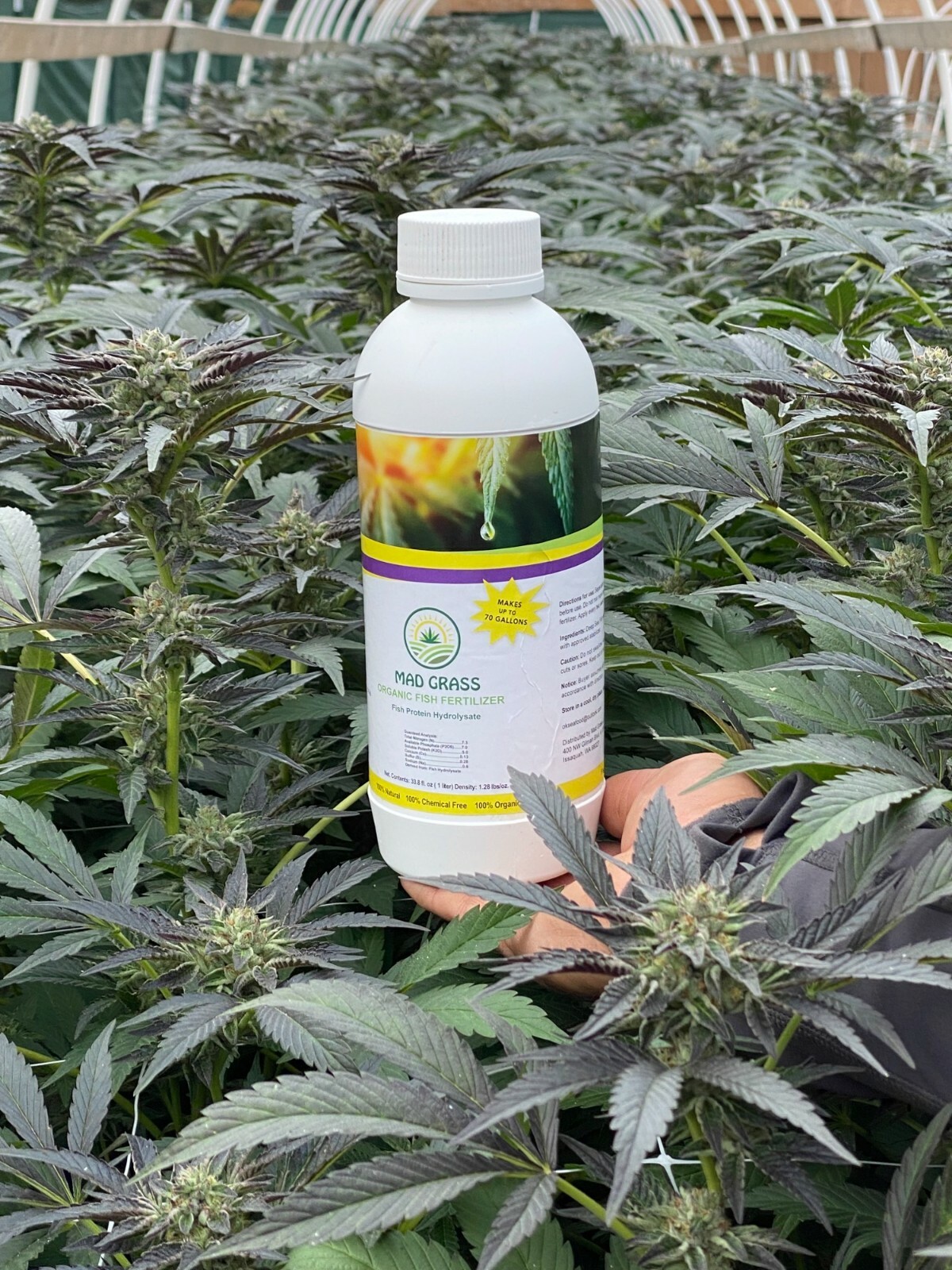 Organic Fish Fertilizer – For Hemp: That is Less Than $.56 Per Gallon !