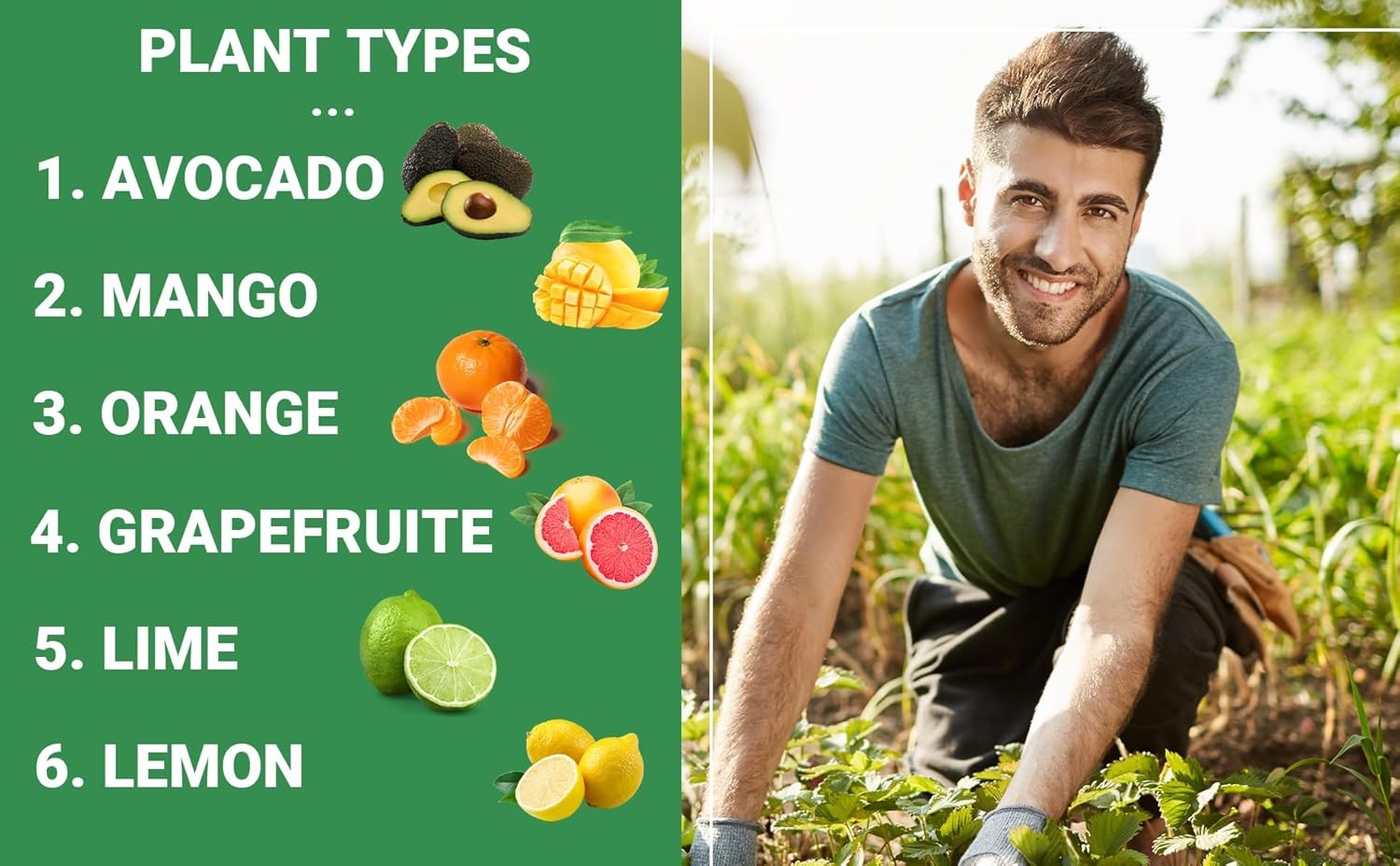 Avocado & Citrus Tree Fertilizer for Indoor & Outdoor Plants Quick-Release