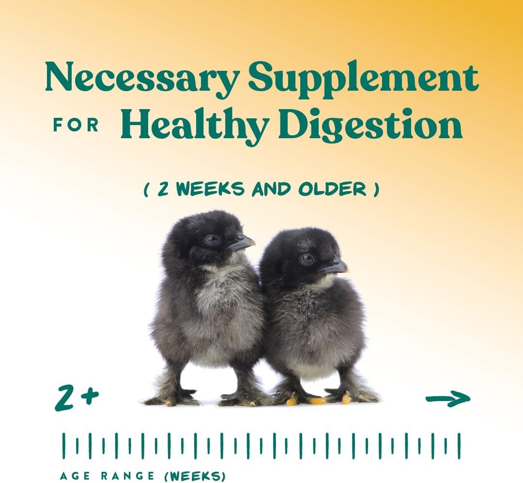 Manna Pro Chick Grit Digestive Supplement for Young Growing Poultry & Bantam
