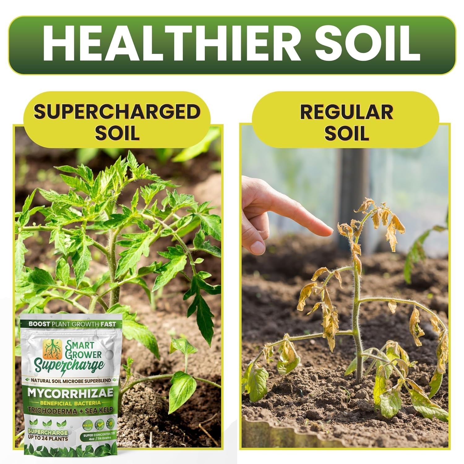 Organic Plant Growth Formula – Sea Kelp Molasses