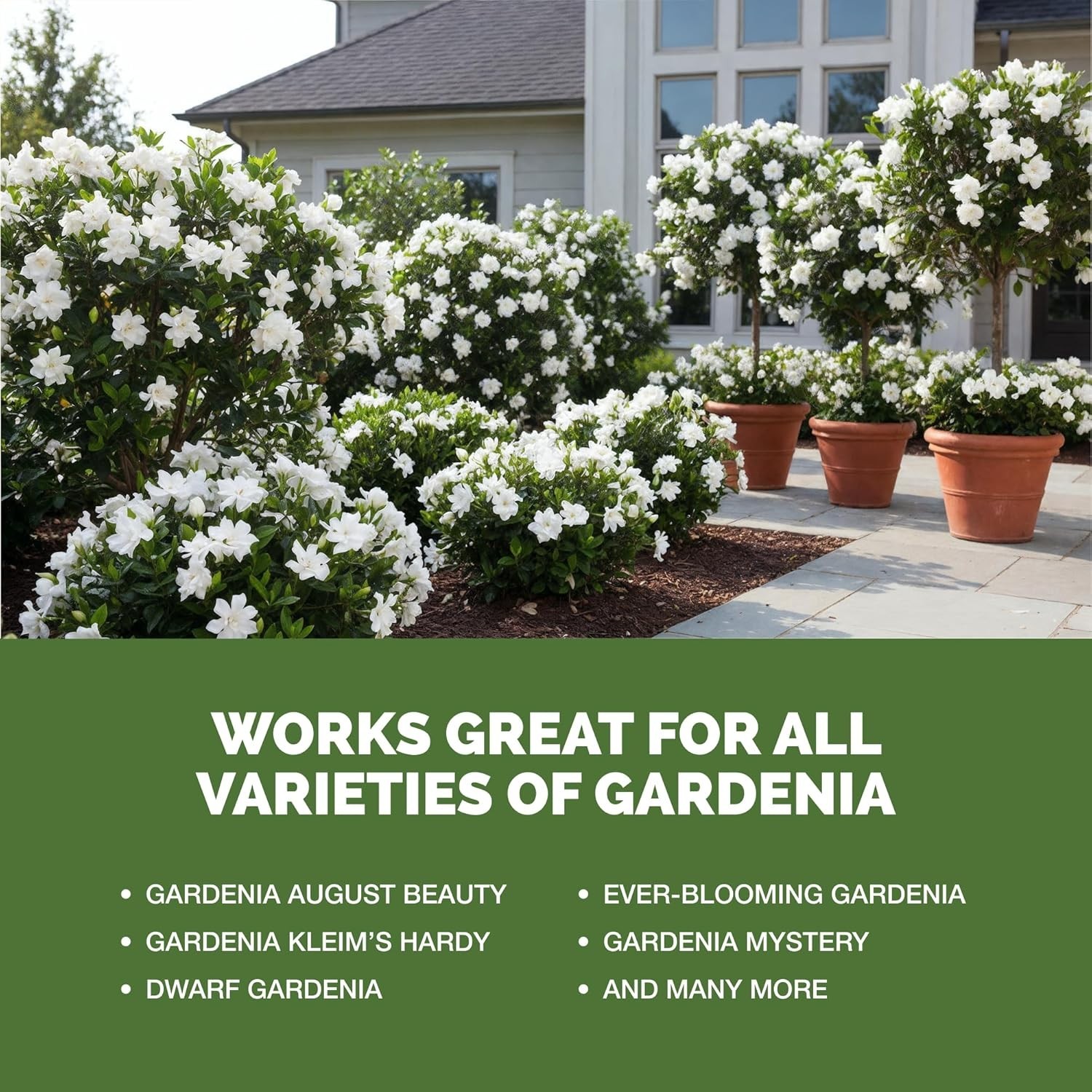 Gardenia Nutrient-Rich Liquid Fertilizer – Supports Blooming & Leaf Growth, 8 oz