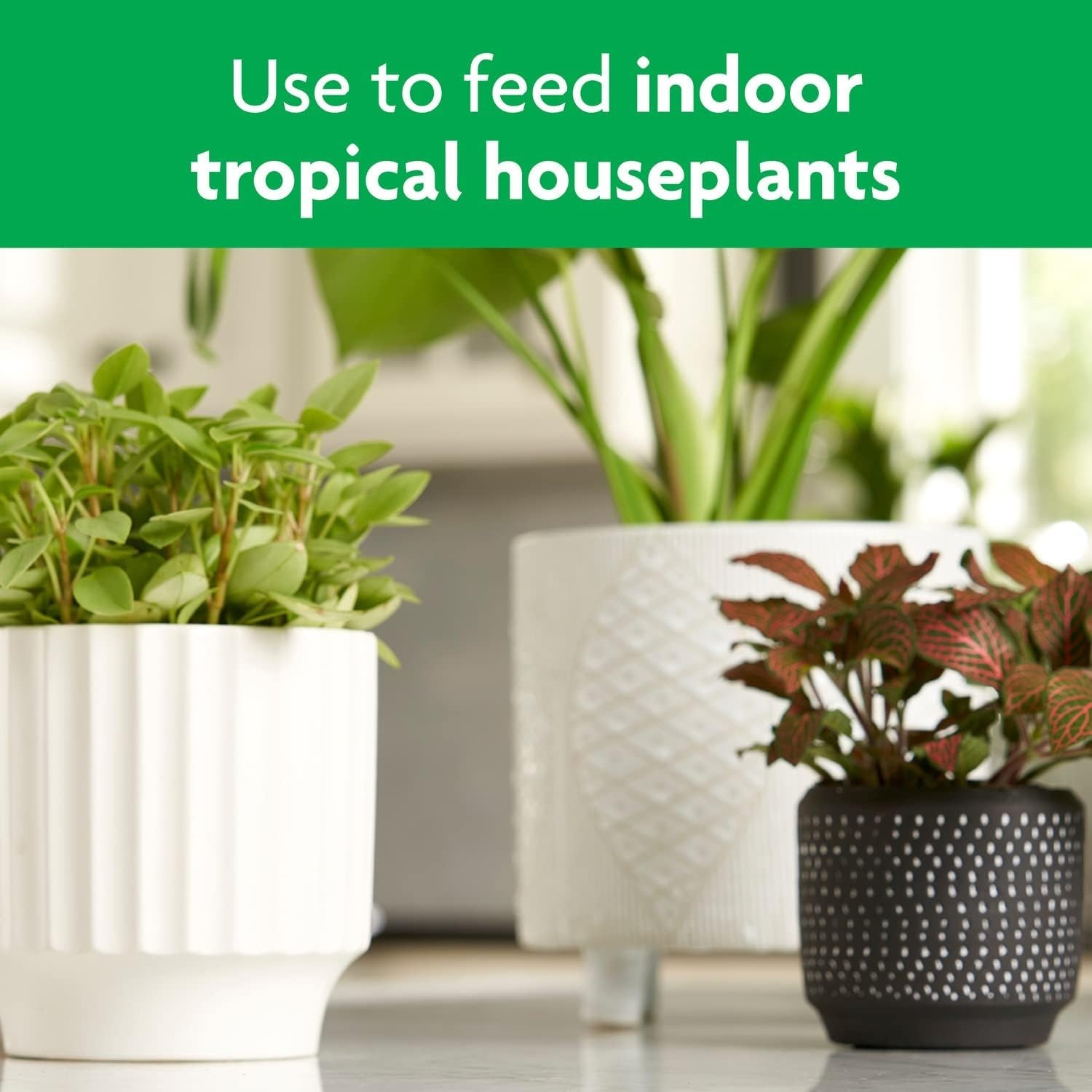 Tropical Plant Food Liquid Fertilizer 16 Ounces Full Coverage for Indoor Plants