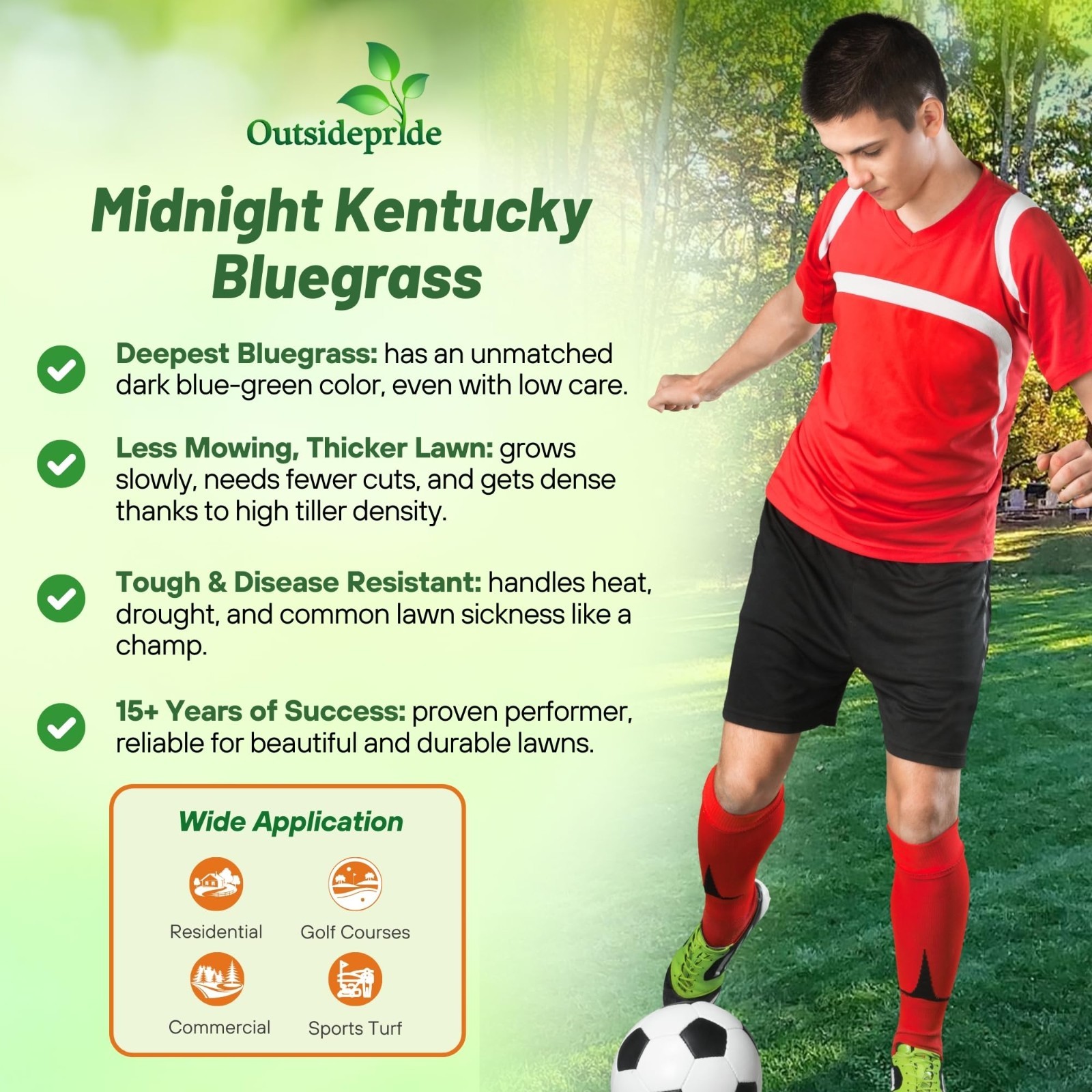Midnight Kentucky Bluegrass Seed 5lbs – Cold & Drought Tolerant Lawn Grass, High