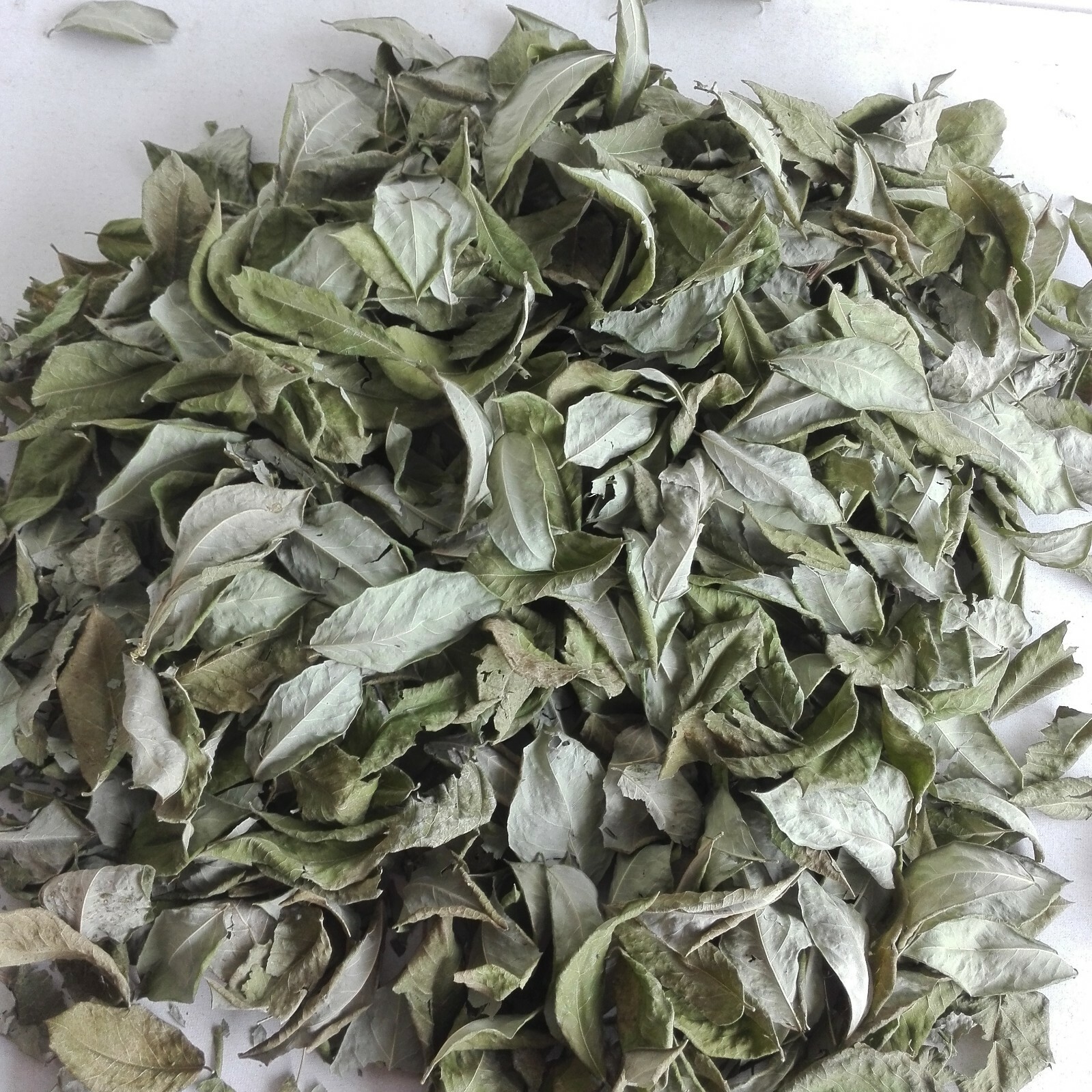 Dried Organic Gliricidia Sepium Leaves 200g Natural Compost Manure Fertilizer