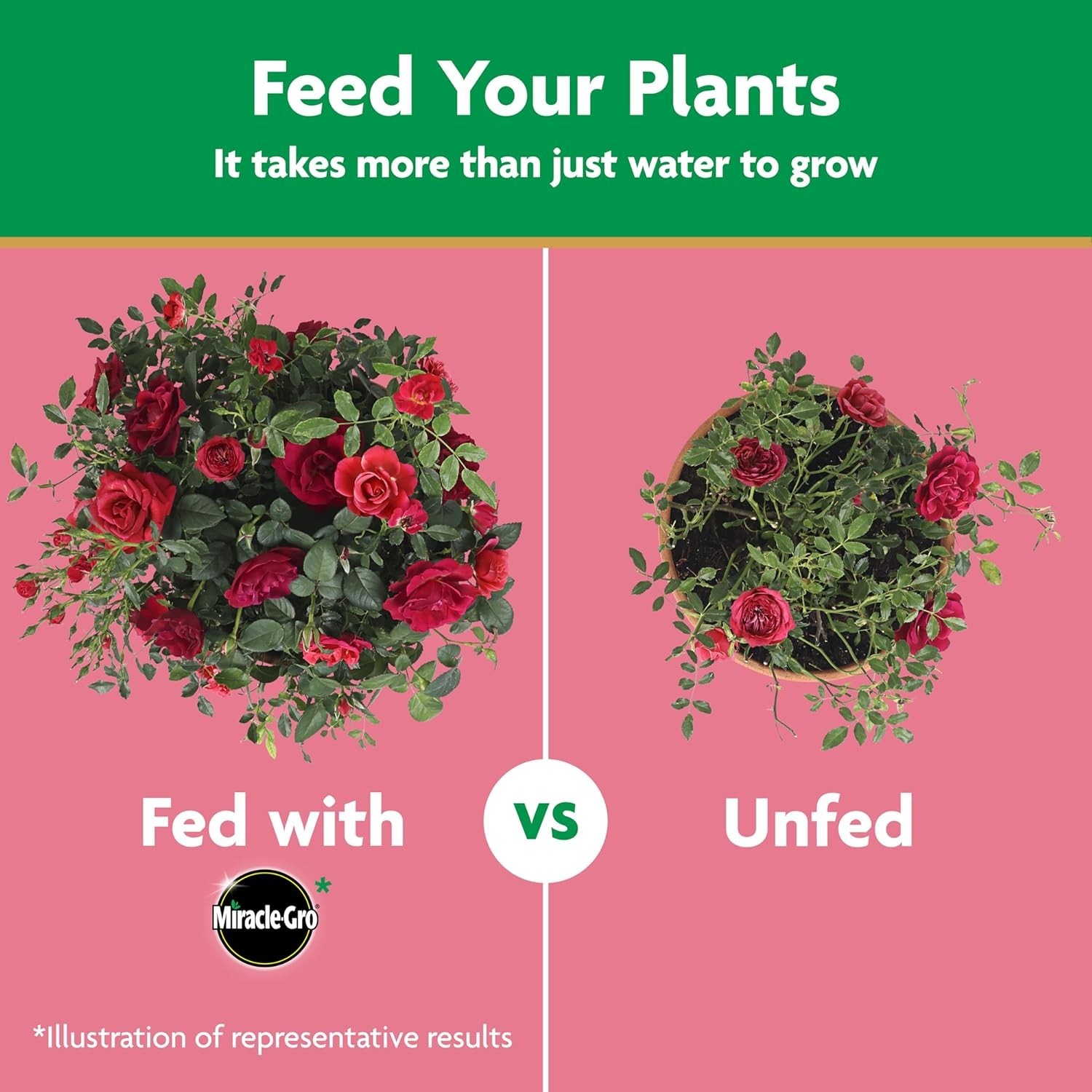 Instant Action 1.5 lb Water Soluble Rose Food – Safe for Indoor & Outdoor Use
