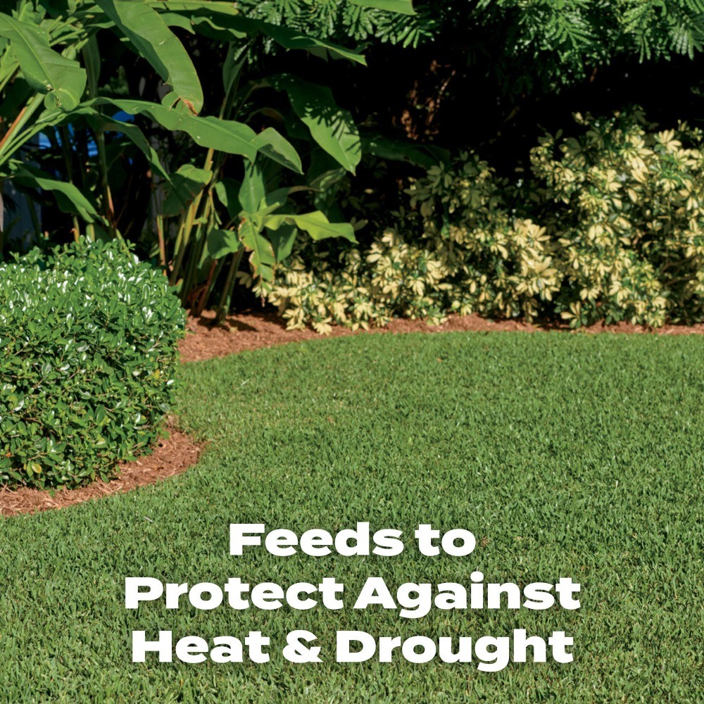 Scotts Turf Builder Southern Lawn Fertilizer, 5,000 sq. ft., 14.06 lb.