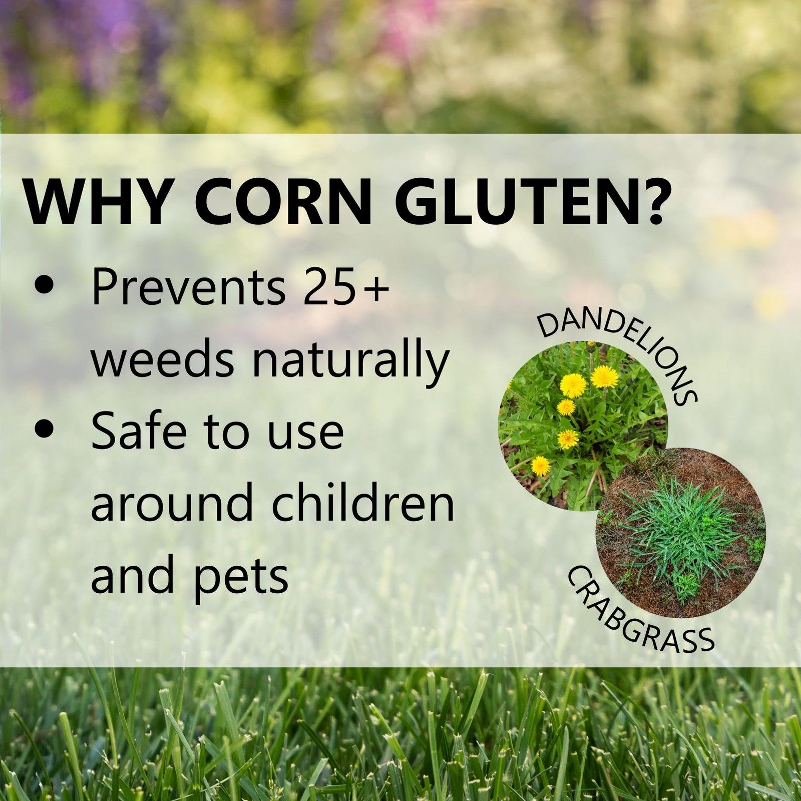 Jonathan Green 11591 Corn Gluten Lawn Fertilizer, 10-0-2 Formula, 5,000-Sq. Ft.