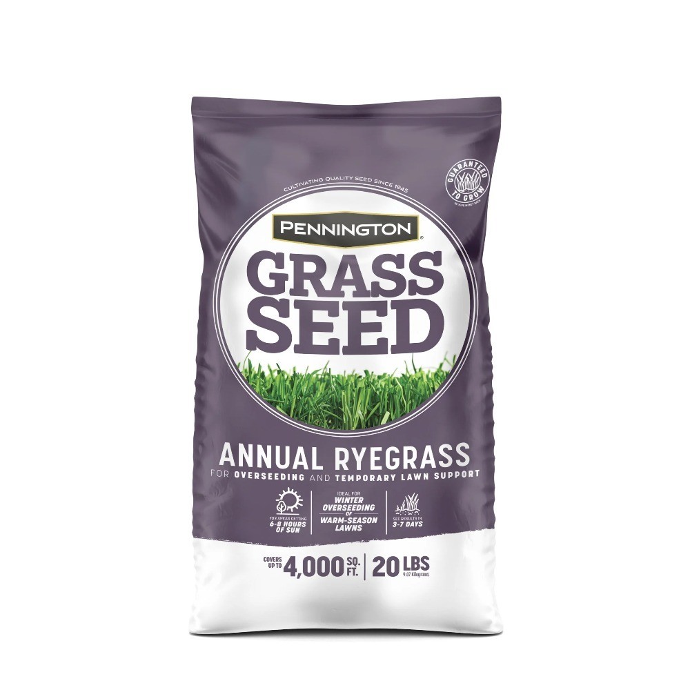 Annual Ryegrass Seed Sun Partial Shade Lawn Turf Fast Growing 20 lb Bag
