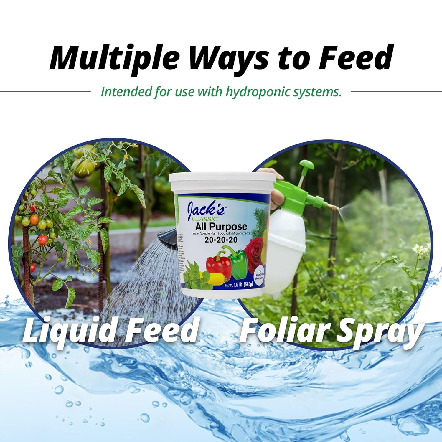 All Purpose Plant Food Water Soluble Powder 1.5 Lbs Fast Green Up Leaf Expansion