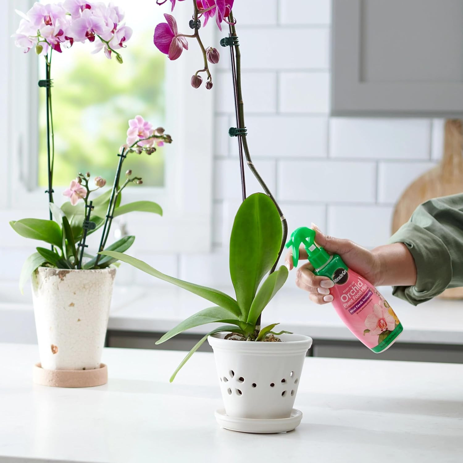 Miracle-Gro Ready to Use Orchid Plant Food Mist, Indoor Orchid Plants, 8 Oz, 3-P