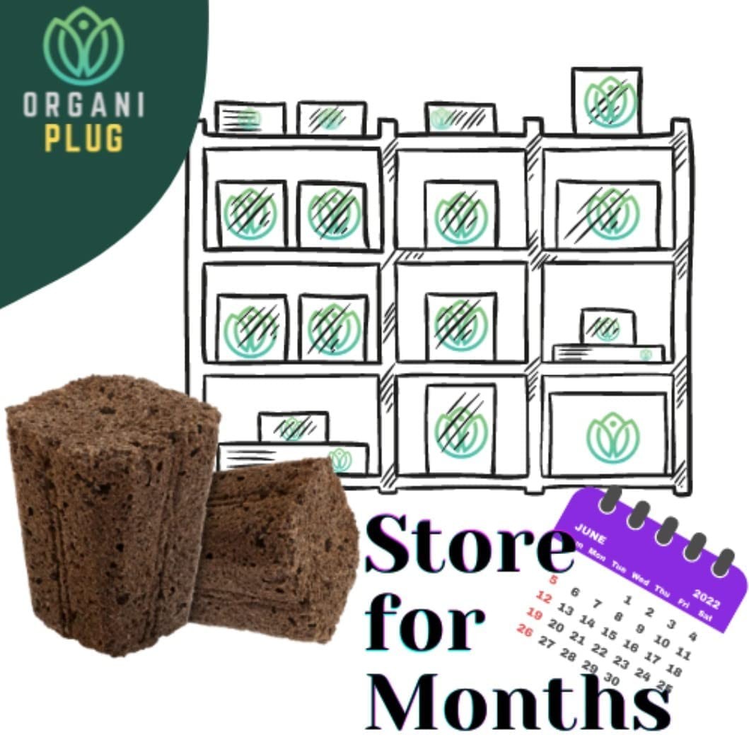 VPS OrganiPlug Hydroponic Seed Starter Plugs, 2000 Pack, Rapid Root Planting …