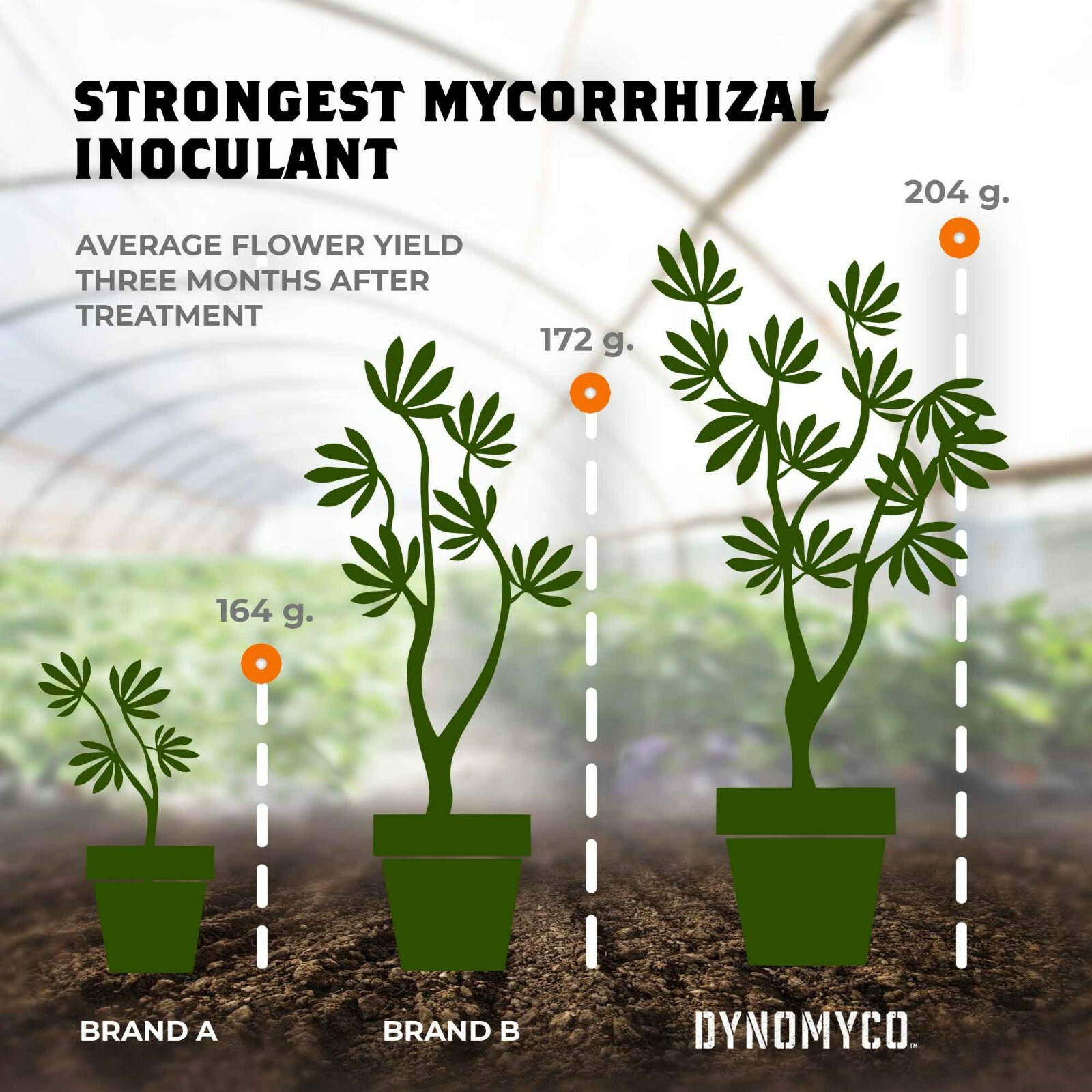 DYNOMYCO PURE MYCORRHIZAL INOCULANT ORGANIC ROOT ENHANCER 750 GRAMS