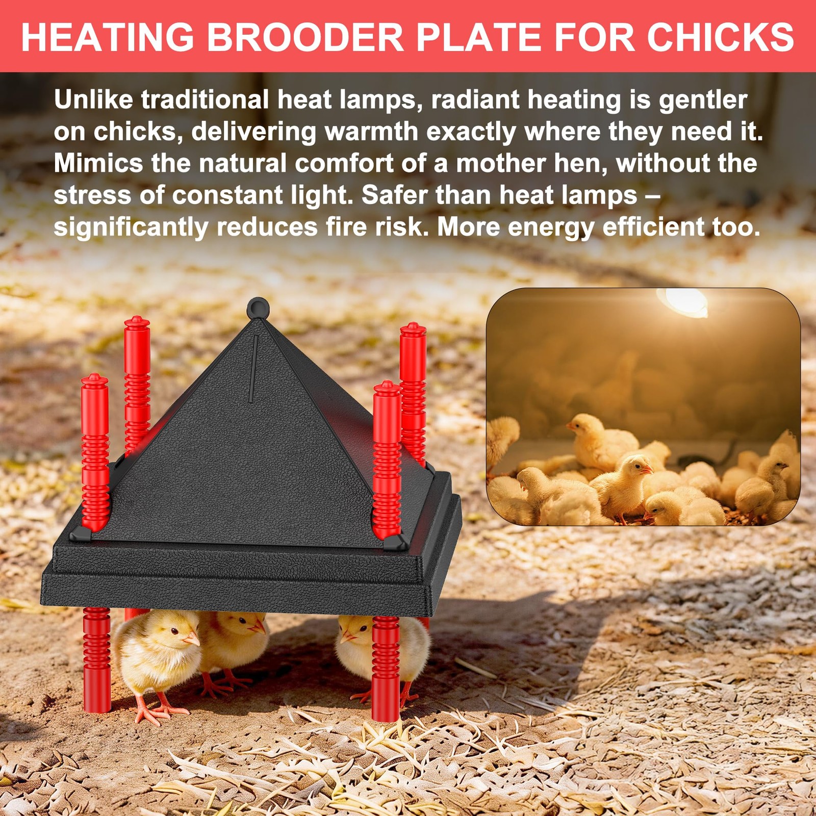 Tiflev Chick Brooder Heating Plate Anti Stand Cone Adjustable Height Brooder