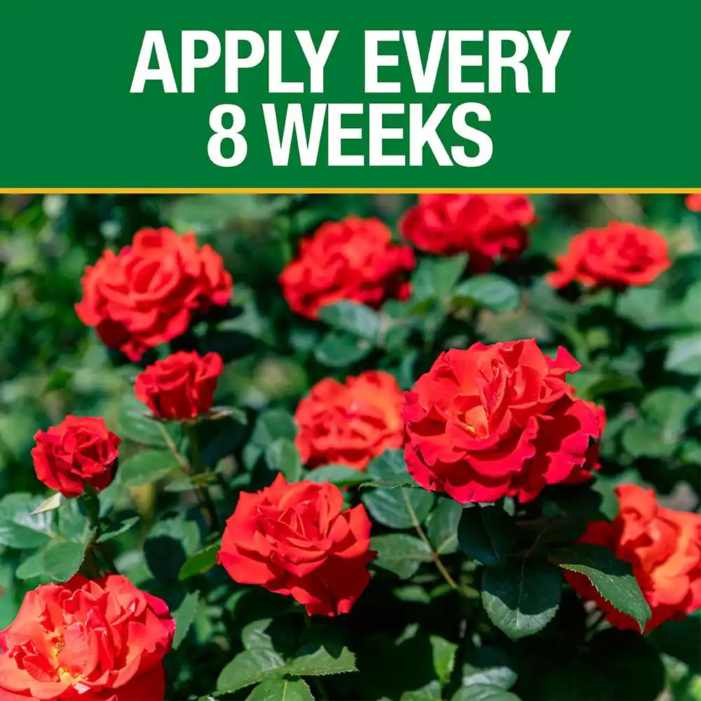 3.5 Lb. All Season Rose Plant Food (12-6-10)