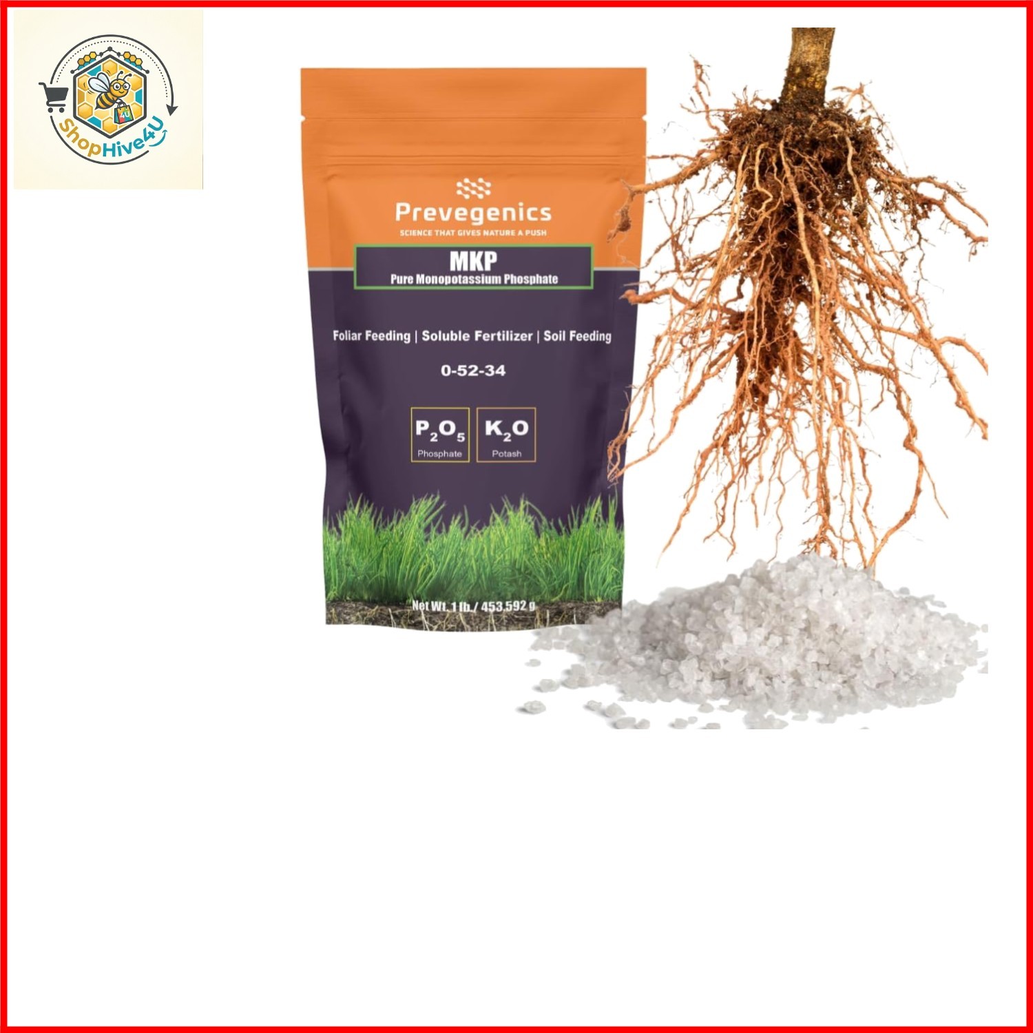 Monopotassium Phoshpate Fertilizer | Highly Water Soluble | 0-52-34 1 Pound
