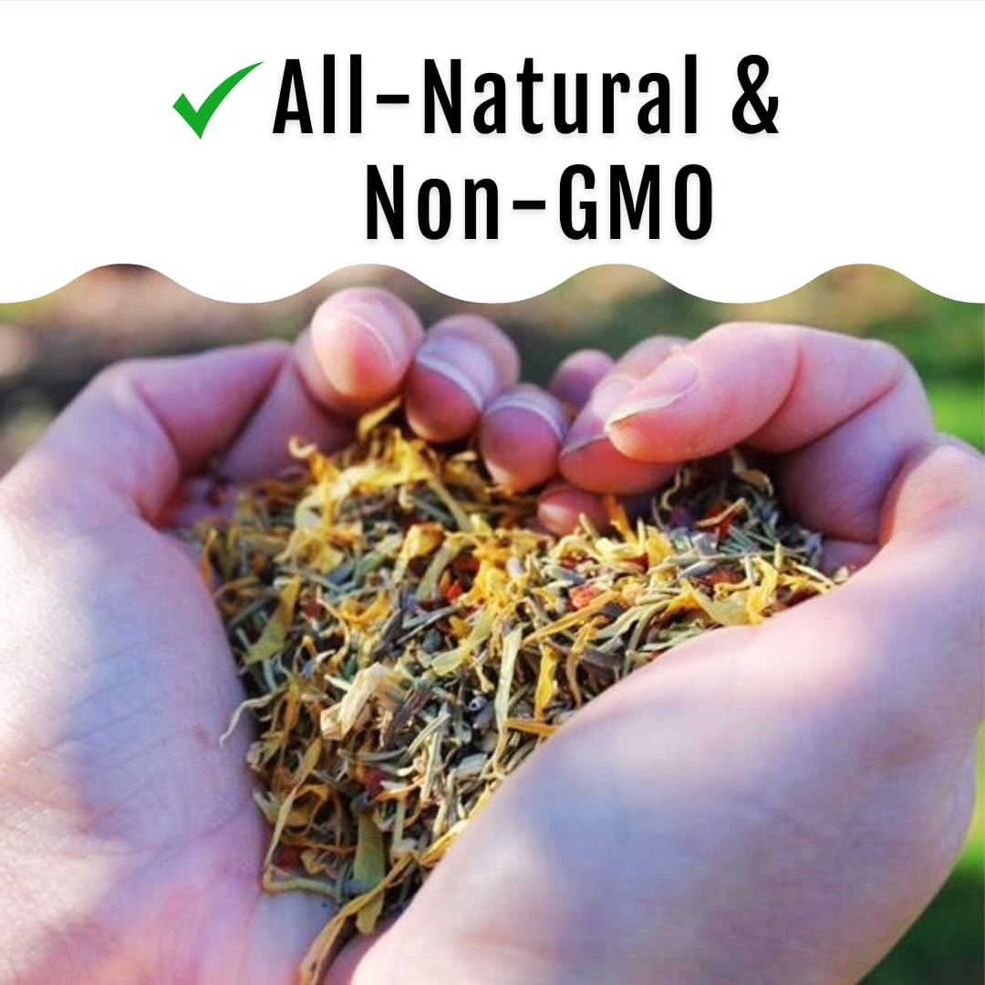 Herbal Chicken Supplement 5 LB Natural Feed Botanical Mix Egg Production Feather