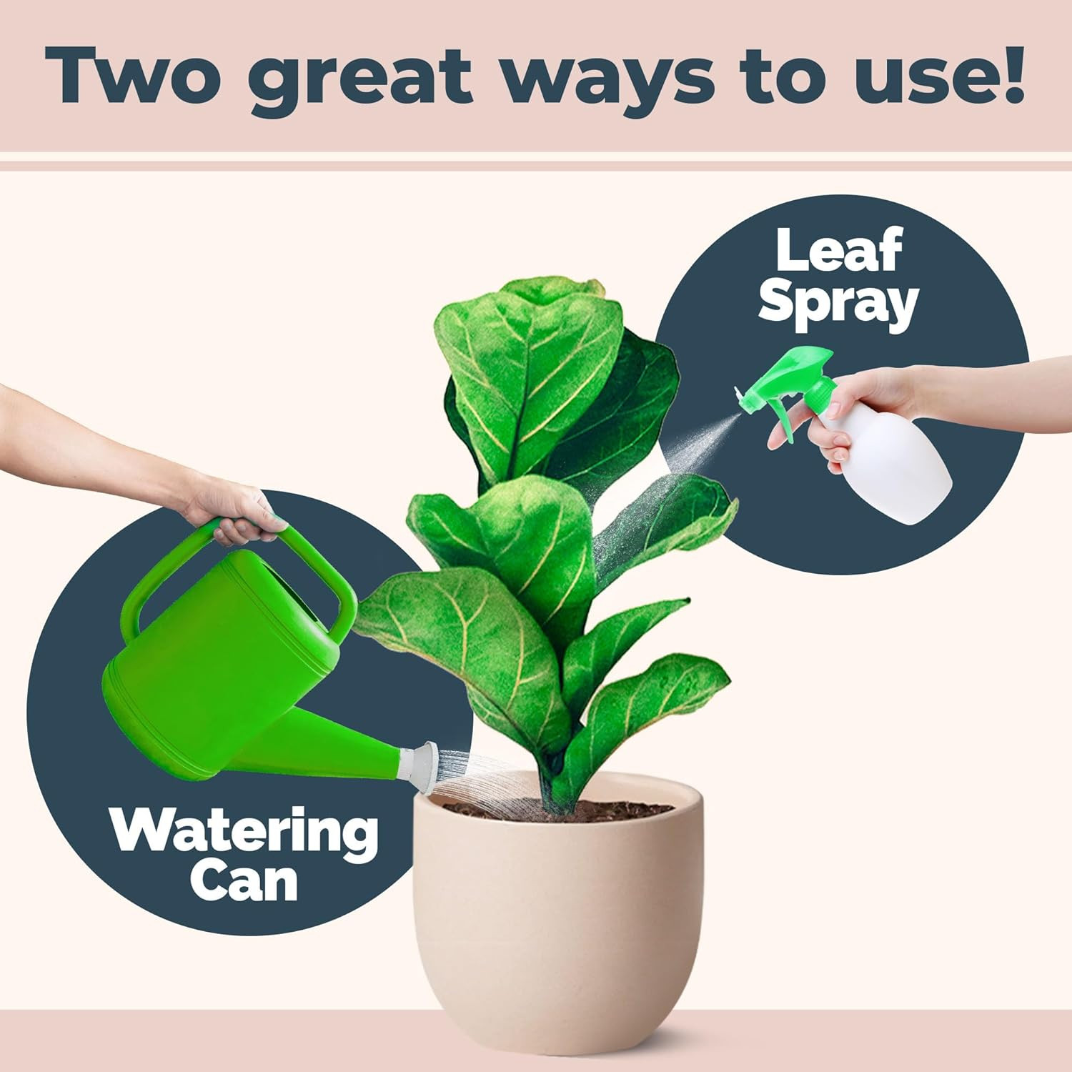Fiddle Leaf Fig Plant Food – Liquid Plant Food for Bigger Leaves, Stronger Roots