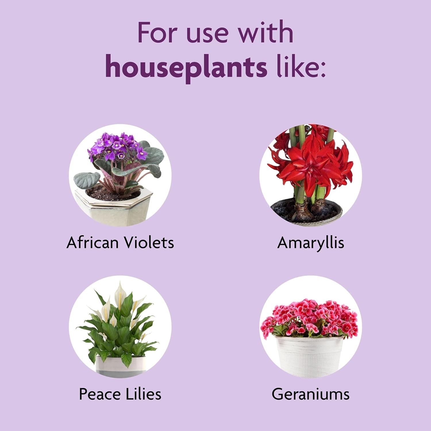 Miracle-Gro Blooming Houseplant Food 8 fl oz – Ensuring Abundant Indoor Flowers