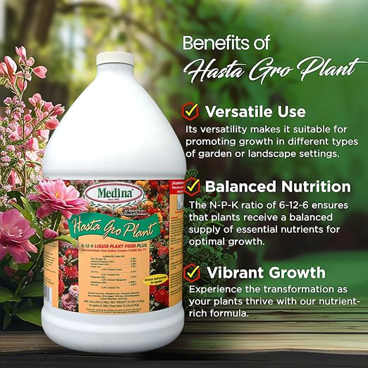HastaGro Plant Food 6-12-6 Concentrate 128 fl oz by Medina