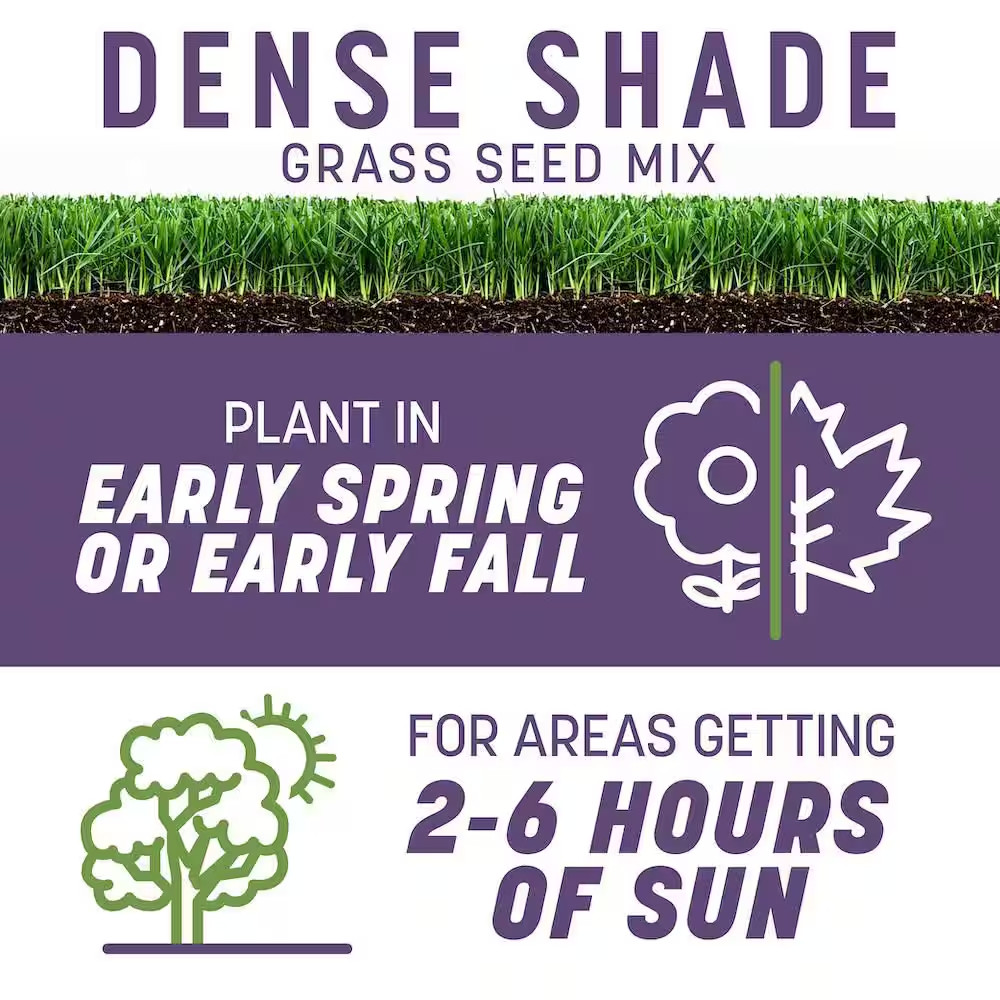 Smart Seed Dense Shade 7Lb. 1,750 Sq. Ft. Grass Seed and Lawn Fertilizer