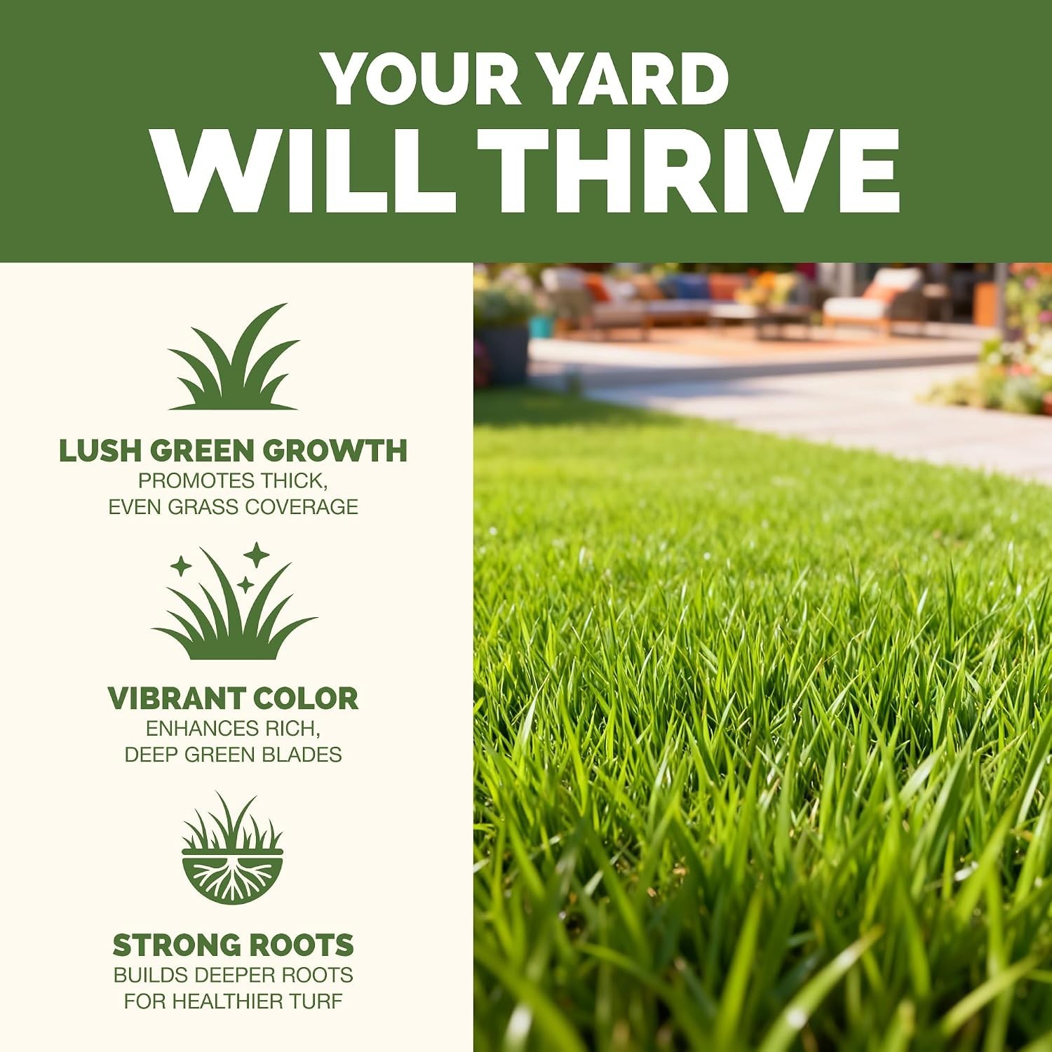 Yard Fertilizer – Liquid Lawn & Grass Fertilizer for Green, Healthy Turf, 8oz