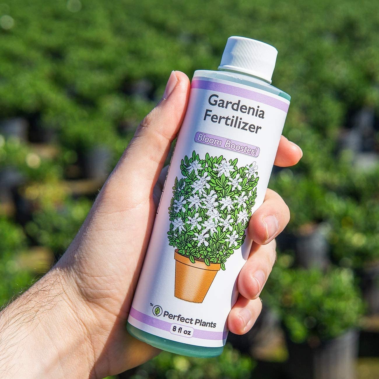 Liquid Gardenia Fertilizer 2 Pack Concentrated Plant Food Bloom Booster 8oz