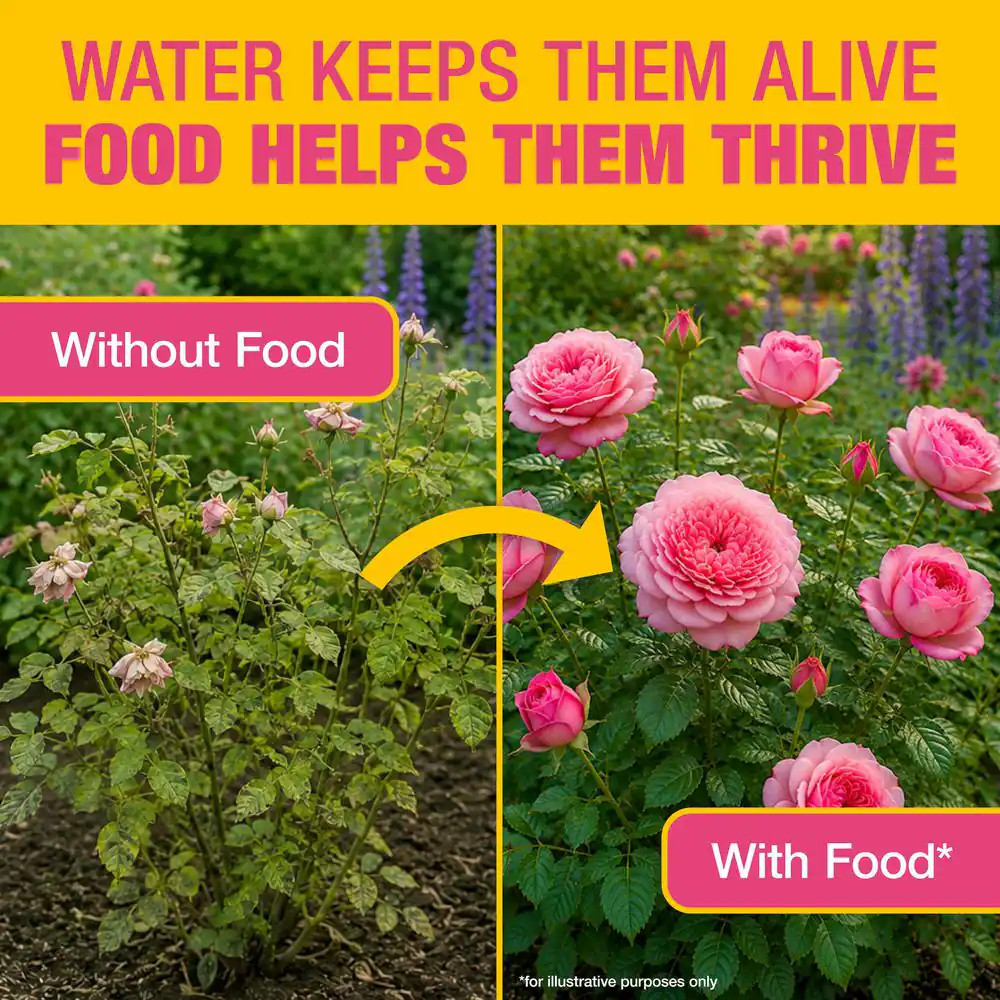1.5 Lb. Water Soluble Rose and Flower Plant Food for Roses, Flower Beds and Cont