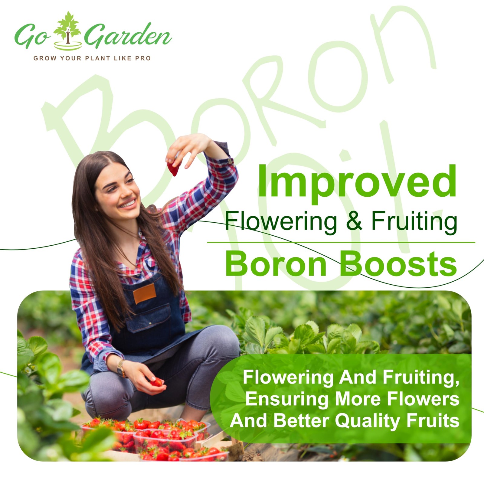 Boron 20% Micronutrient Fertilizer – Boosts Vegetable Growth, 250g Powder Fer…